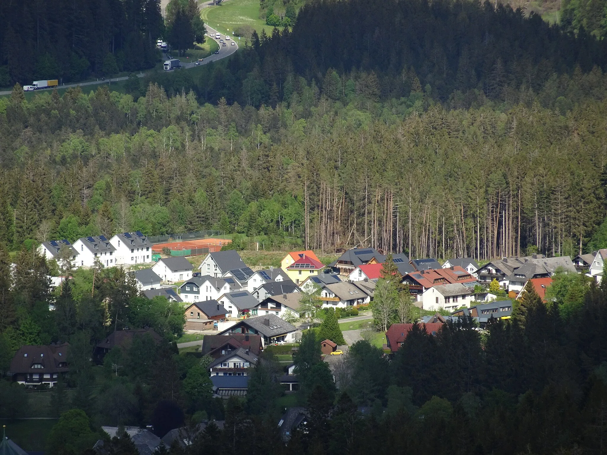 Photo showing: Fernblick vom Windeckkopf auf das Hinterzartener Neubaugebiet "Neuwelt"; im Hintergrund die Richtung Titisee-Neustadt führende Bundesstraße 31
