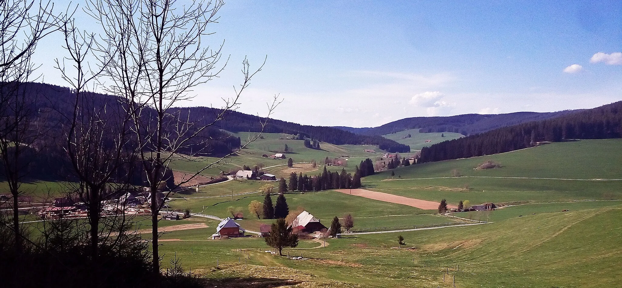 Photo showing: Langenordnach Valley in Titisee-Neustadt, Black Forest, Germany