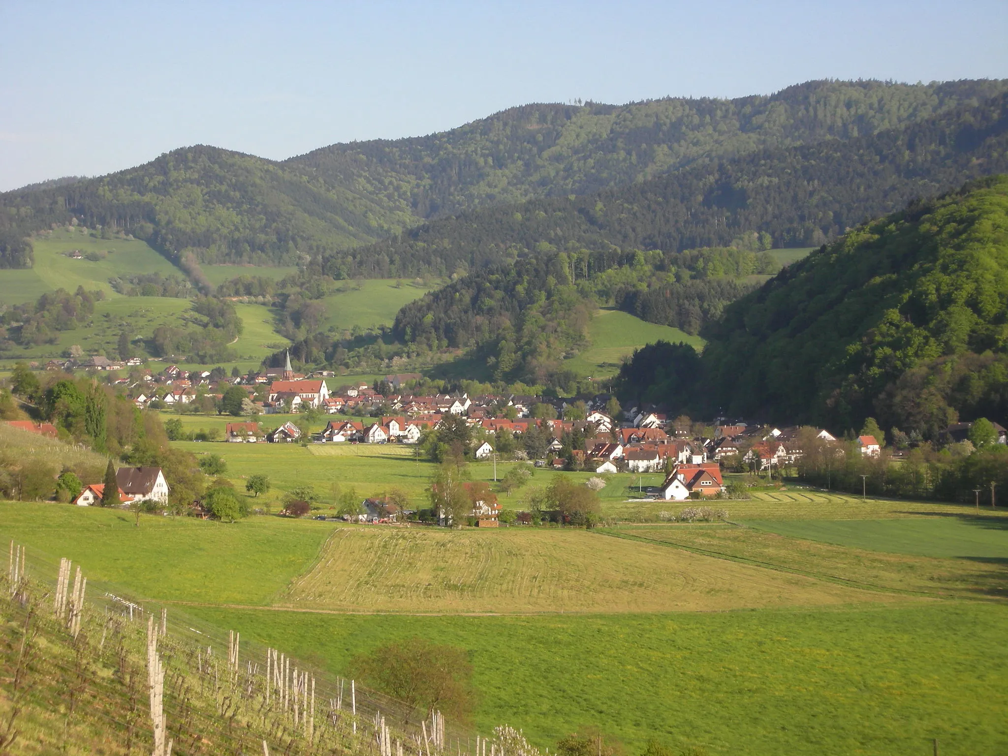 Photo showing: view on en:Glottertal, a town in the Black Forest