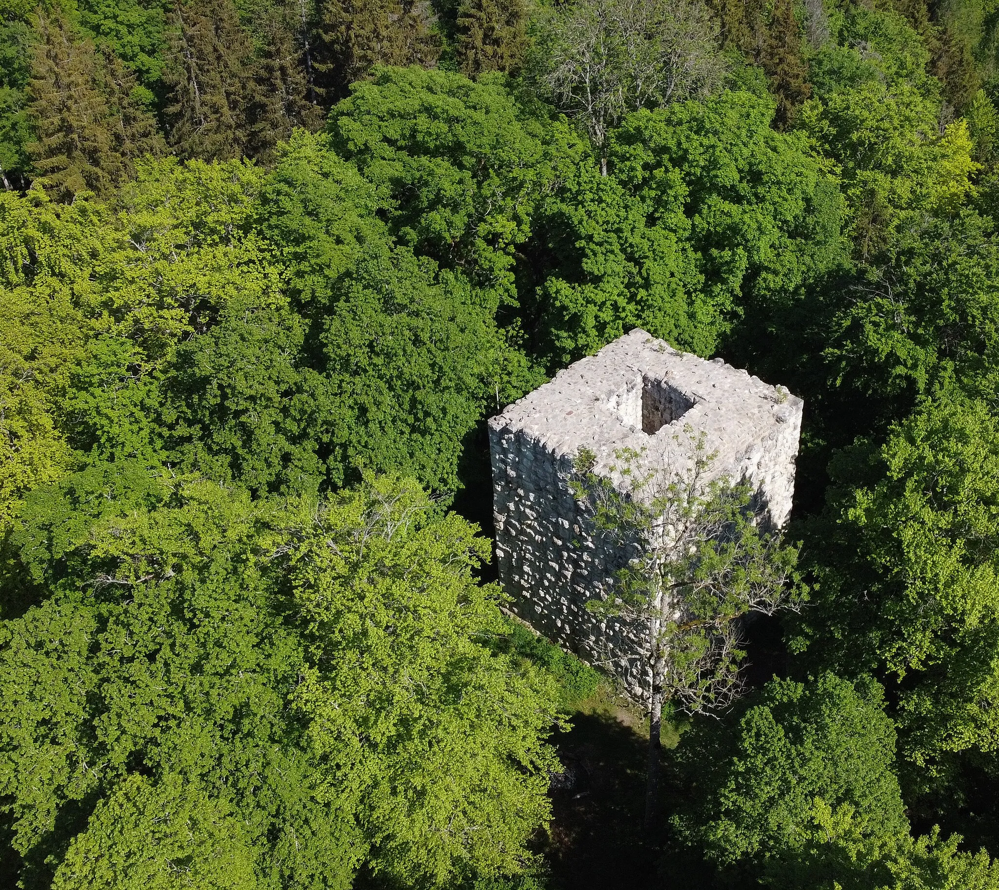 Photo showing: Castle ruin Konzenberg, Wurmlingen, district Tuttlingen, Baden-Württemberg, Germany