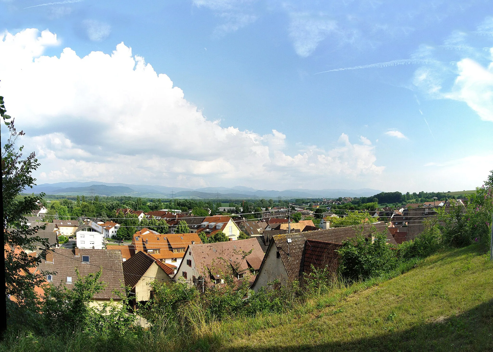 Photo showing: Blick über Opfingen