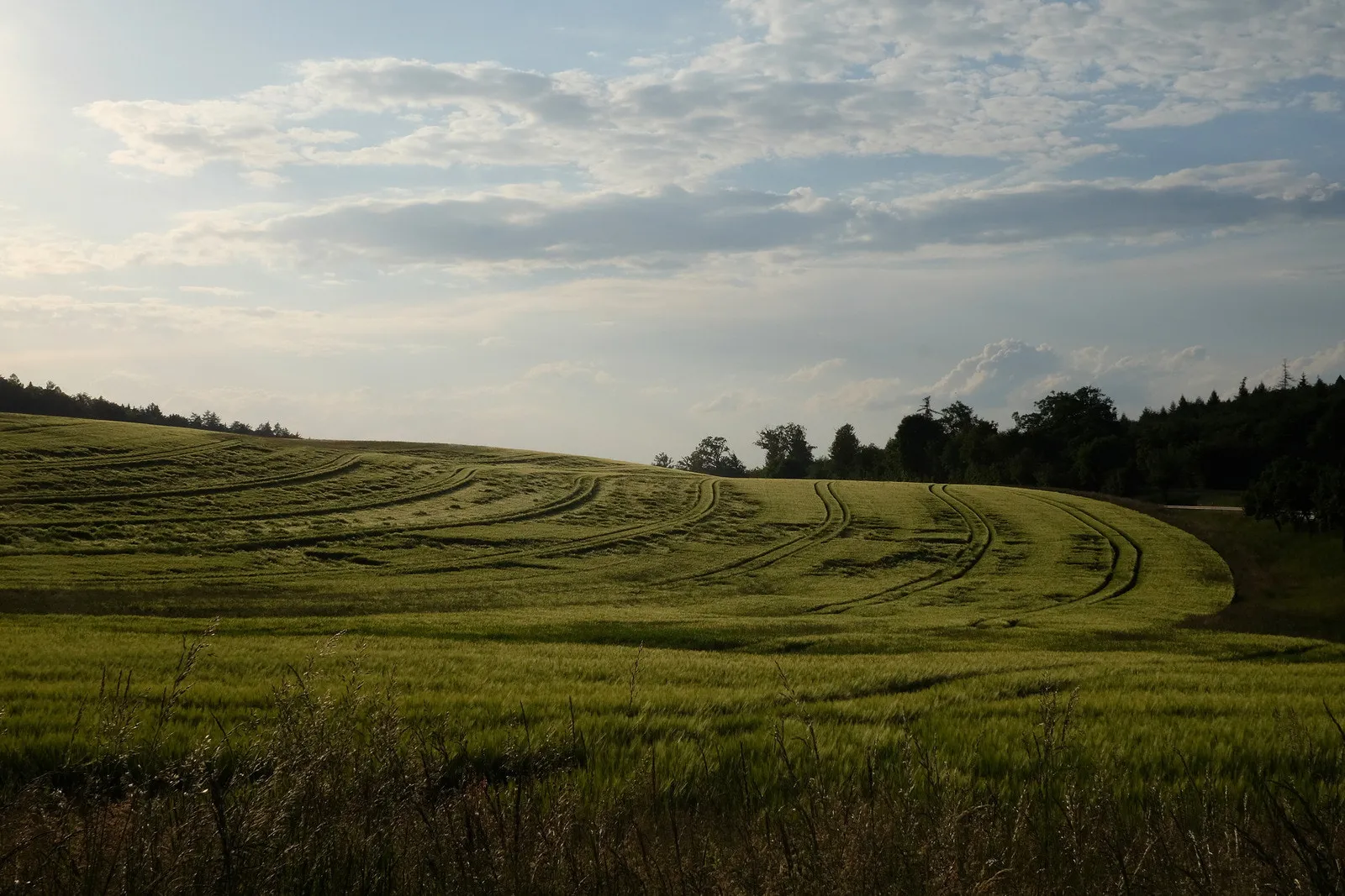 Photo showing: 500px provided description: Blogpost: www.jenseitsderfenster.de/2016/05/28/wahnsinnswetter/ [#field ,#clouds ,#evening ,#meadow]