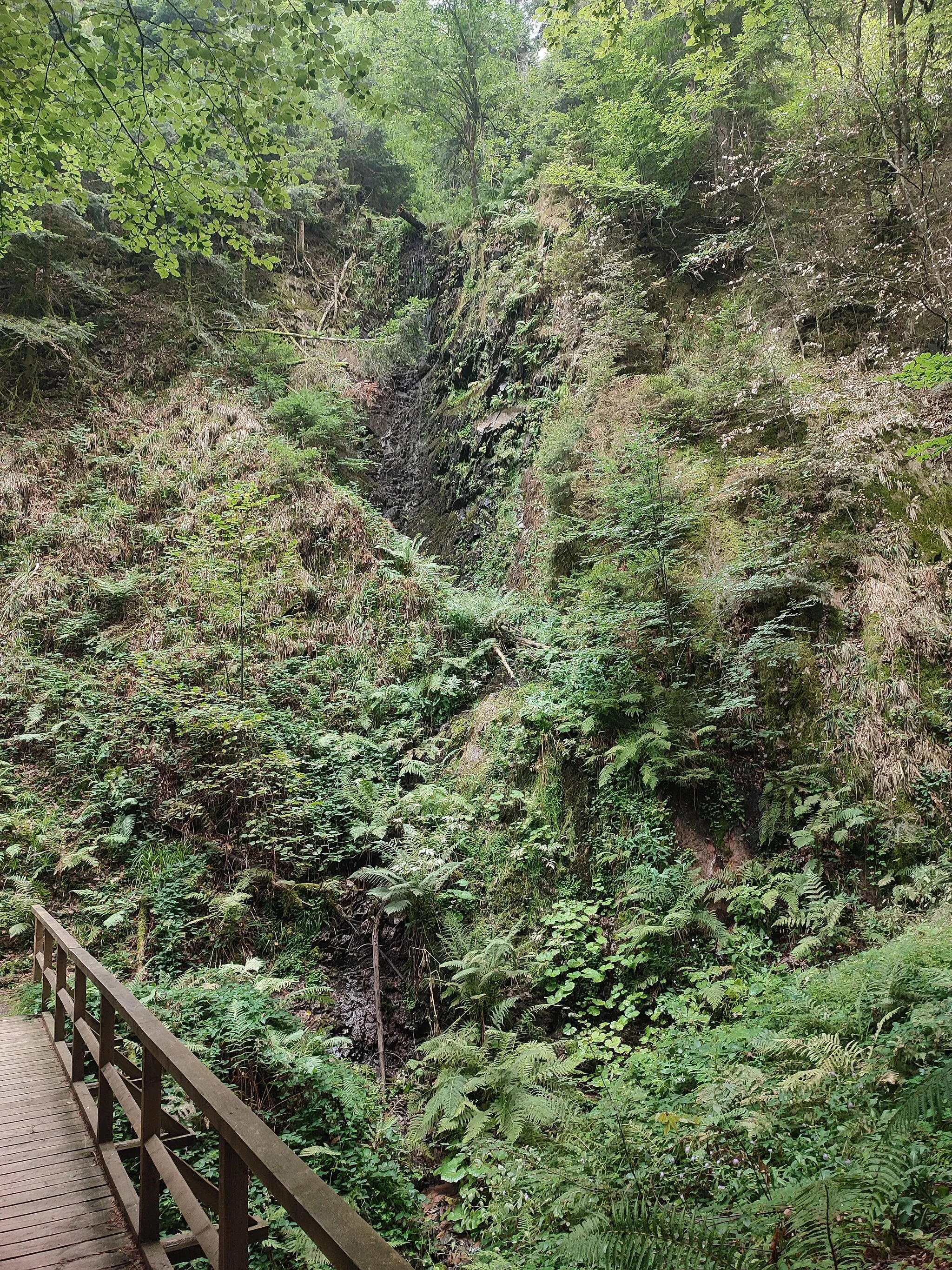 Photo showing: Die große Teil der recht wasserarmen südlichen Griesbacher Wasserfällen