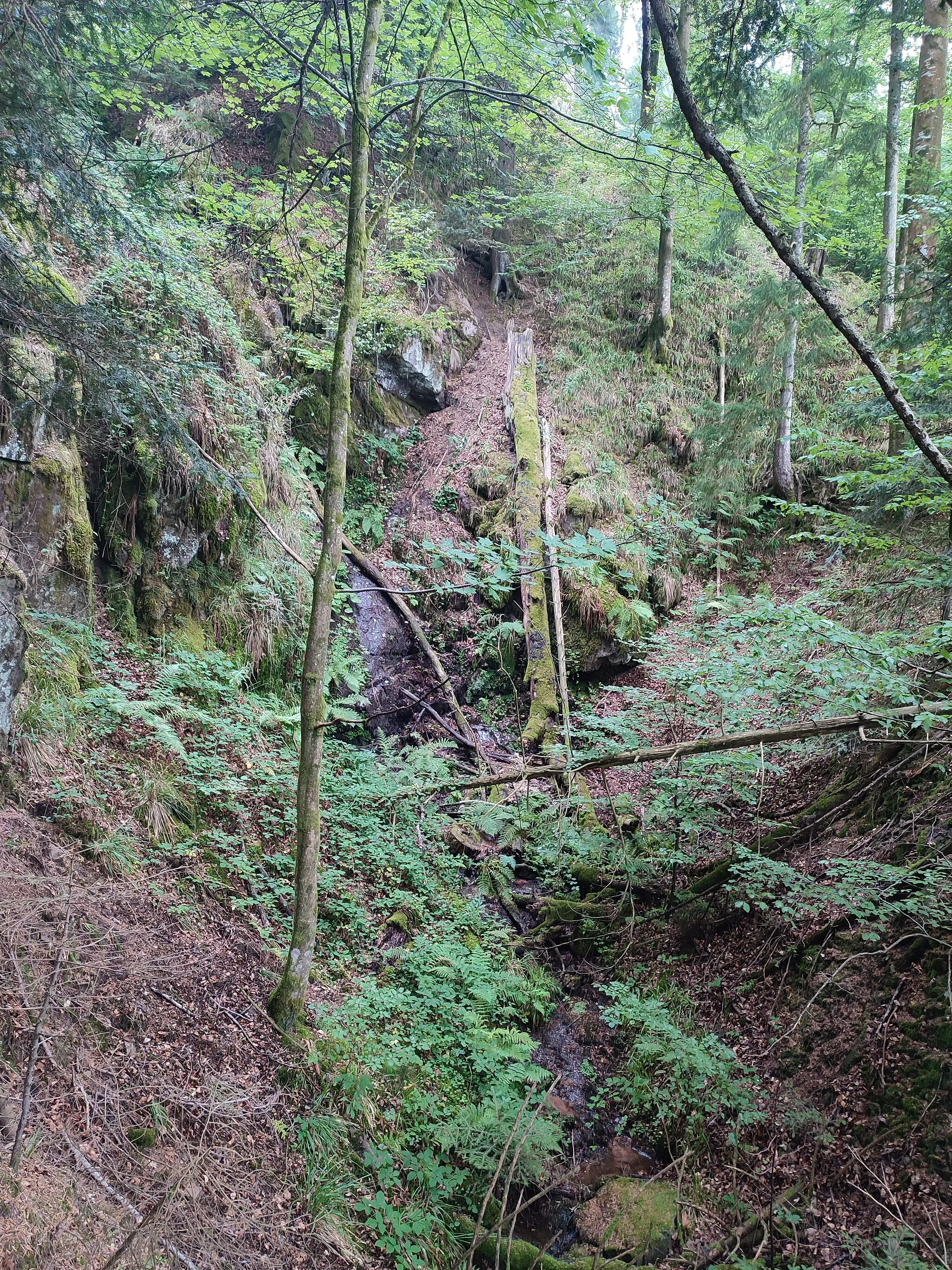 Photo showing: Die kleine Teil der recht wasserarmen südlichen Griesbacher Wasserfällen