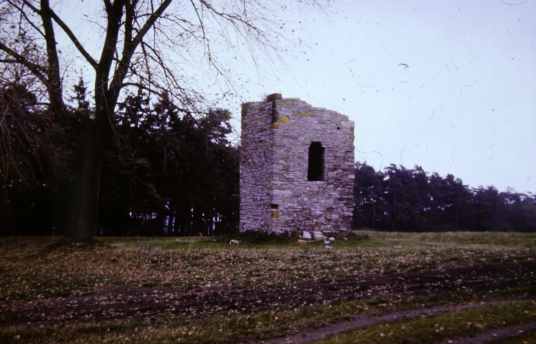 Photo showing: Bienstädt, 1978