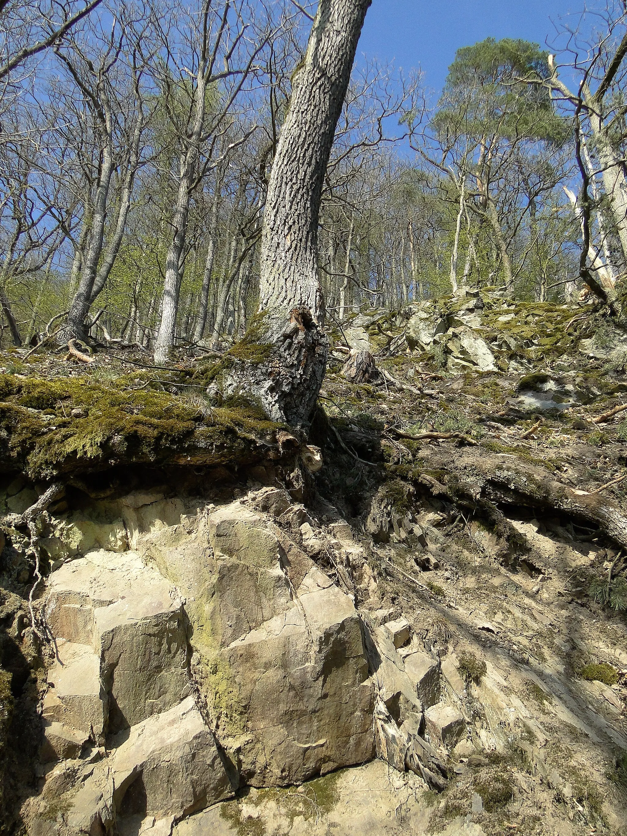 Photo showing: Nationalpark Kellrewald-Edersee, K32-es kerékpárút melletti sziklás terület.