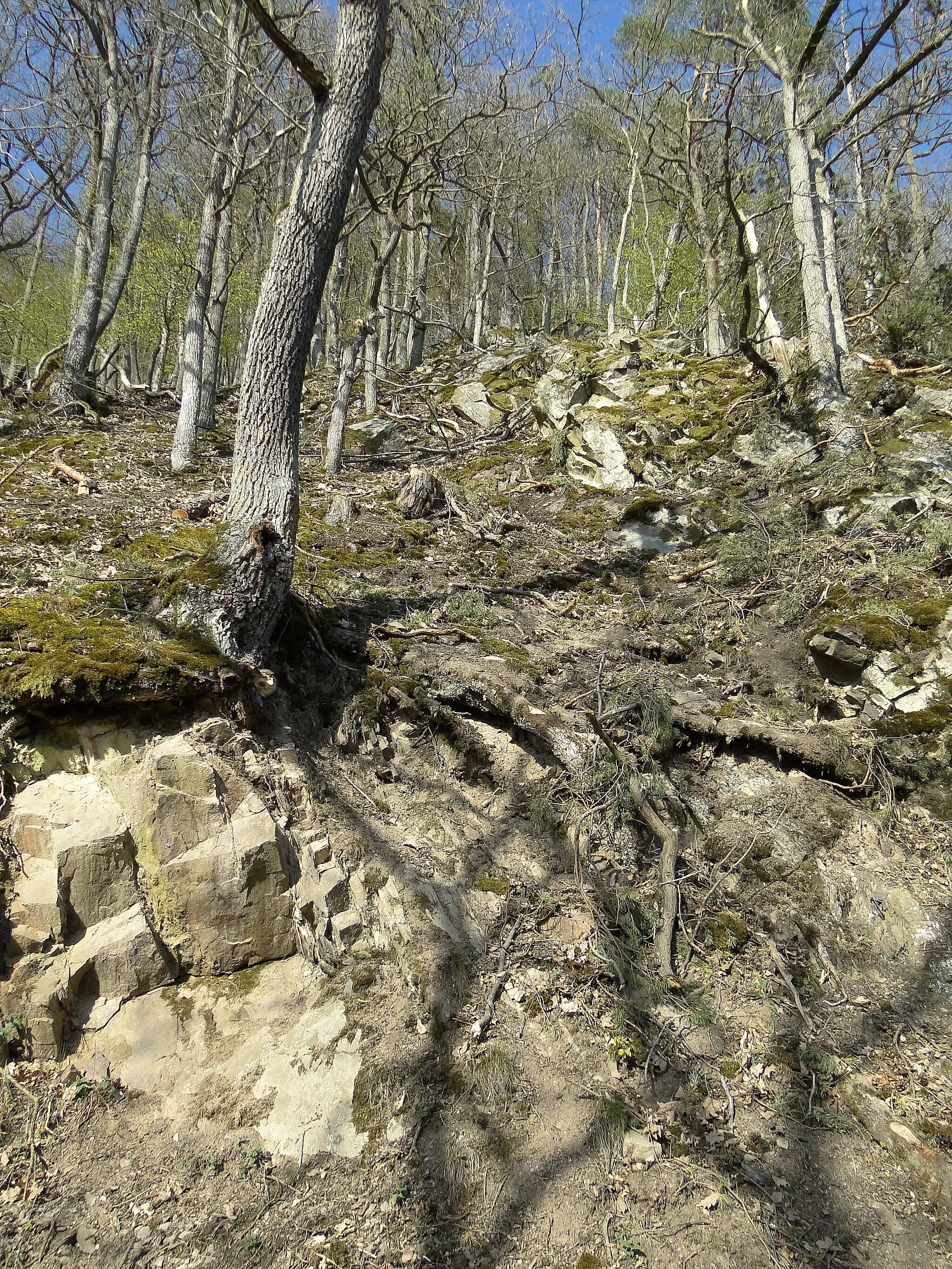 Photo showing: Nationalpark Kellrewald-Edersee, K32-es kerékpárút melletti sziklás terület.