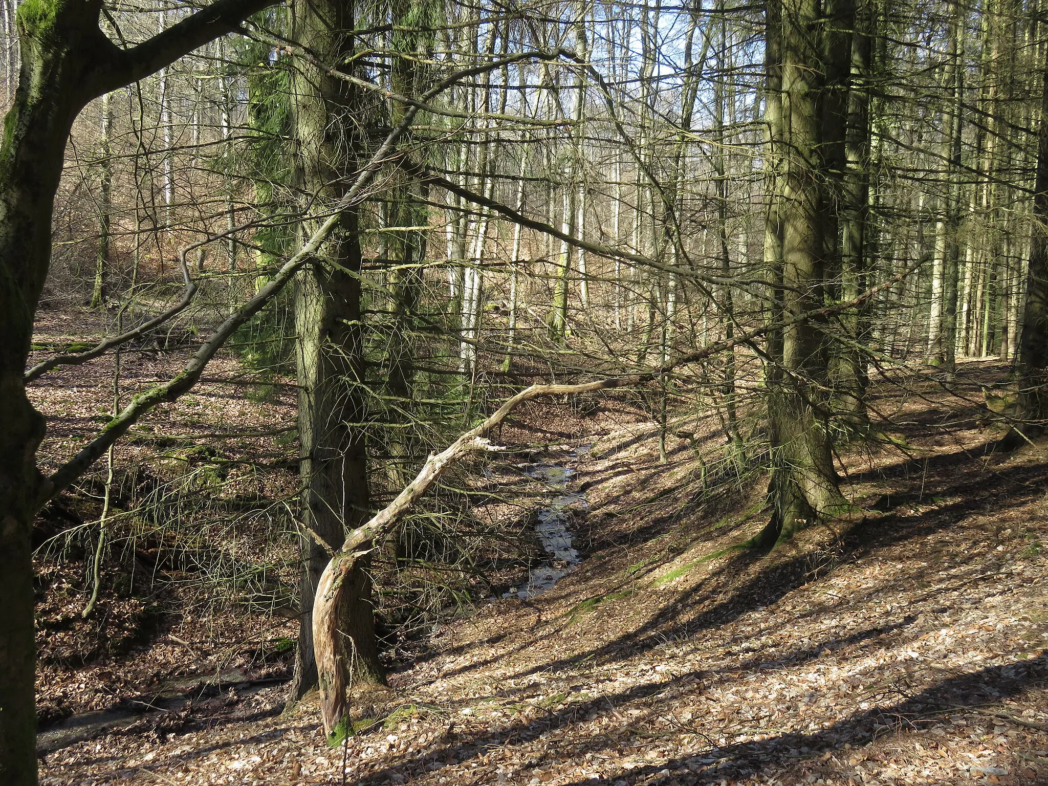 Photo showing: Bach zwischen Watzhahn und Steckenroth