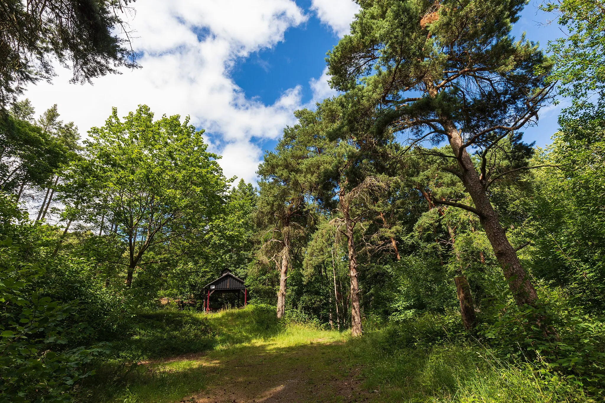 Photo showing: Hörbacher Viehweide - Naturschutzgebiet im Lahn-Dill-Kreis