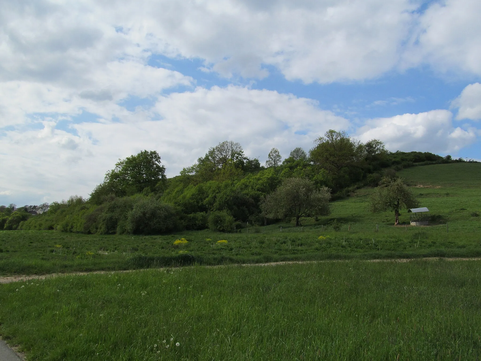 Photo showing: Blick von Südosten auf den Bleidenberg bei Niederbrechen