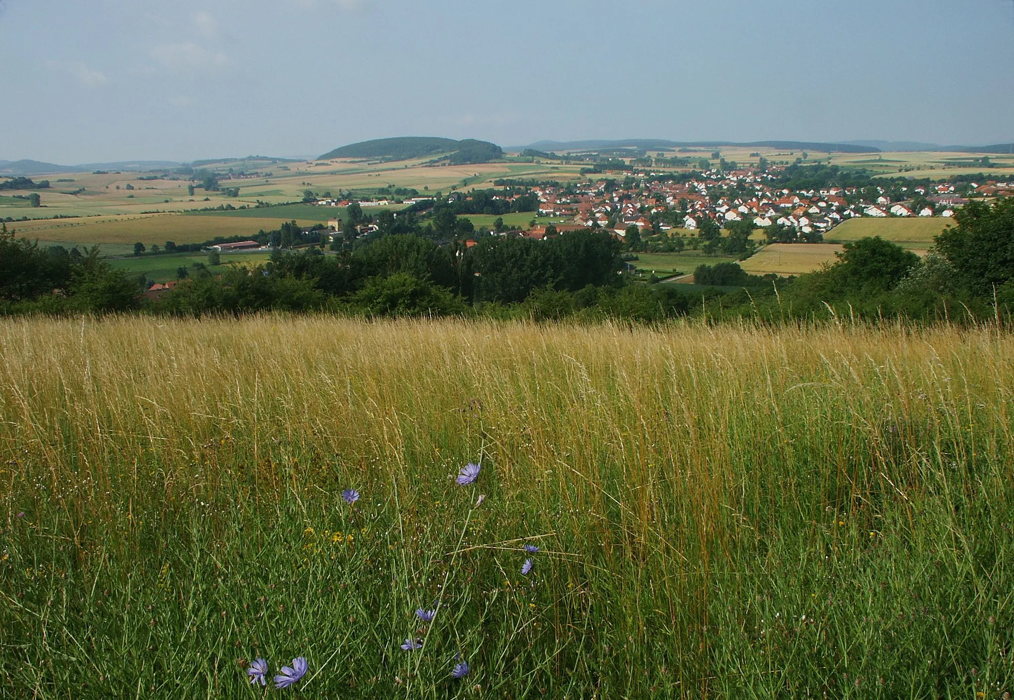 Photo showing: Schenklengsfeld von den Hängen des Landecker Berges aus. Die Anhöhen im Hintergrund gehören zu den nordwestlichen Ausläufern der Rhön um Eiterfeld.