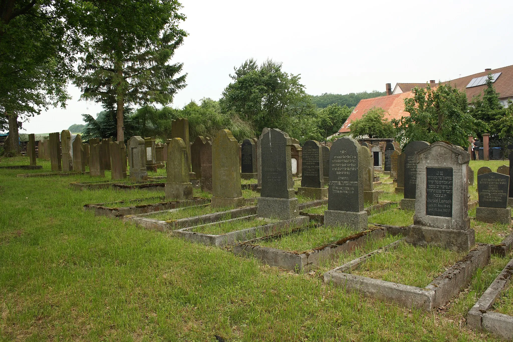 Photo showing: jüdischer Friedhof in Angenrod, einem Stadtteil von Alsfeld im Vogelsbergkreis (Hessen)