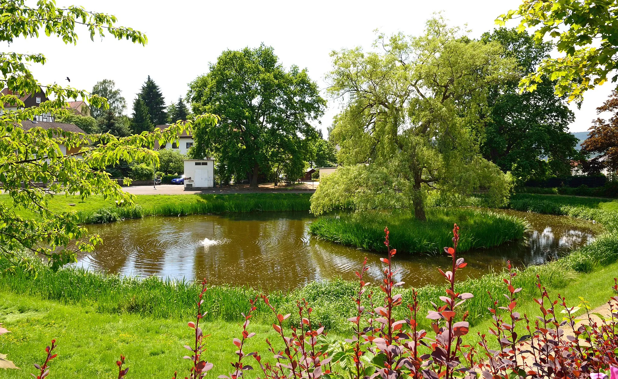 Photo showing: Teich in Cappel (Marburg)