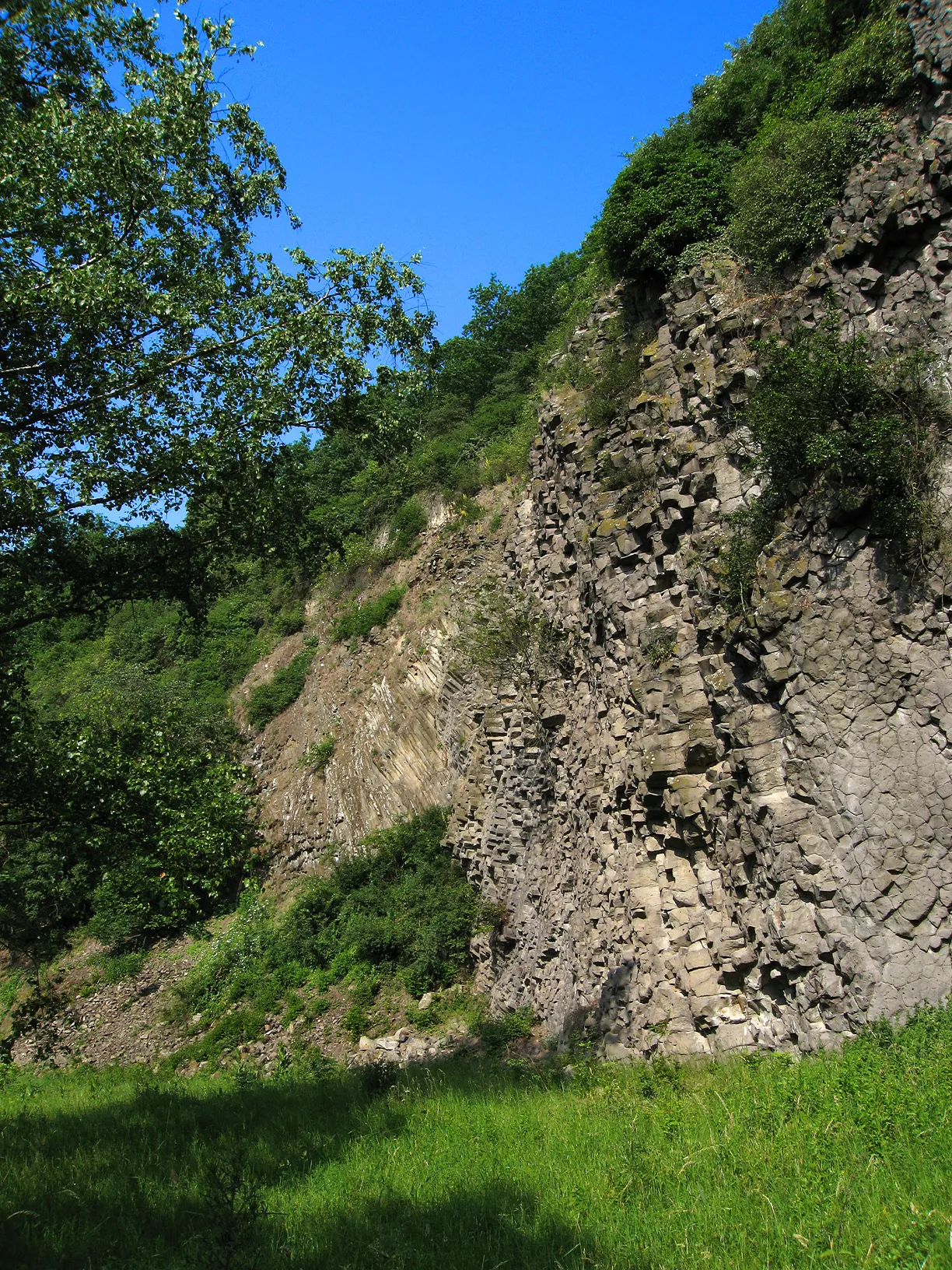 Photo showing: Columnar basaltic rock (basanite) exposed at Amöneburg hill, which is at the northwestern extremity of the Vogelsberg hills, Hesse, central Germany.