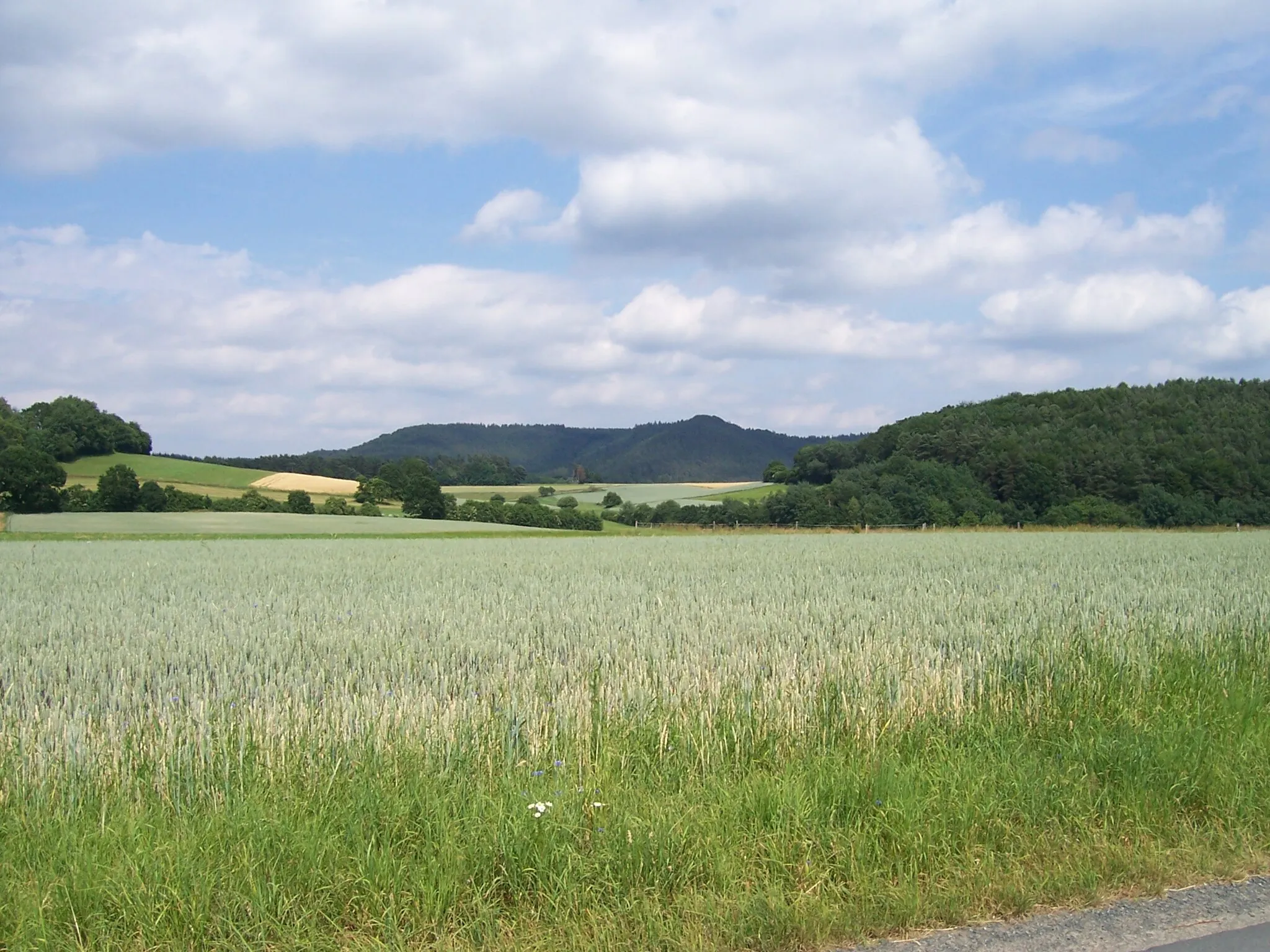 Photo showing: Burgwald bei Oberrosphe, Treppenkopf und Tauschenberg