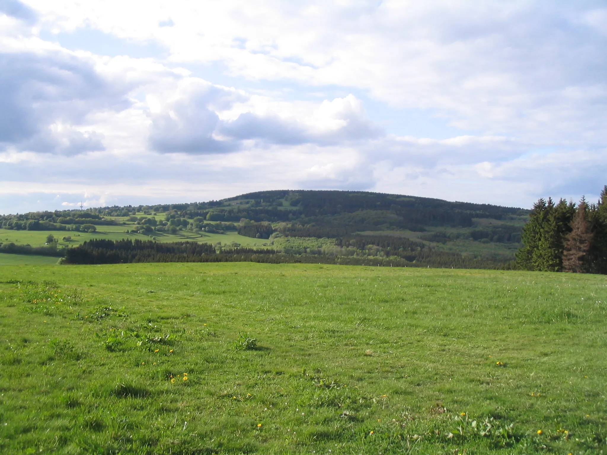 Photo showing: Herchenhainer Hoehe (733 m) in the Vogelsberg-Mountains in Hesse, Germany