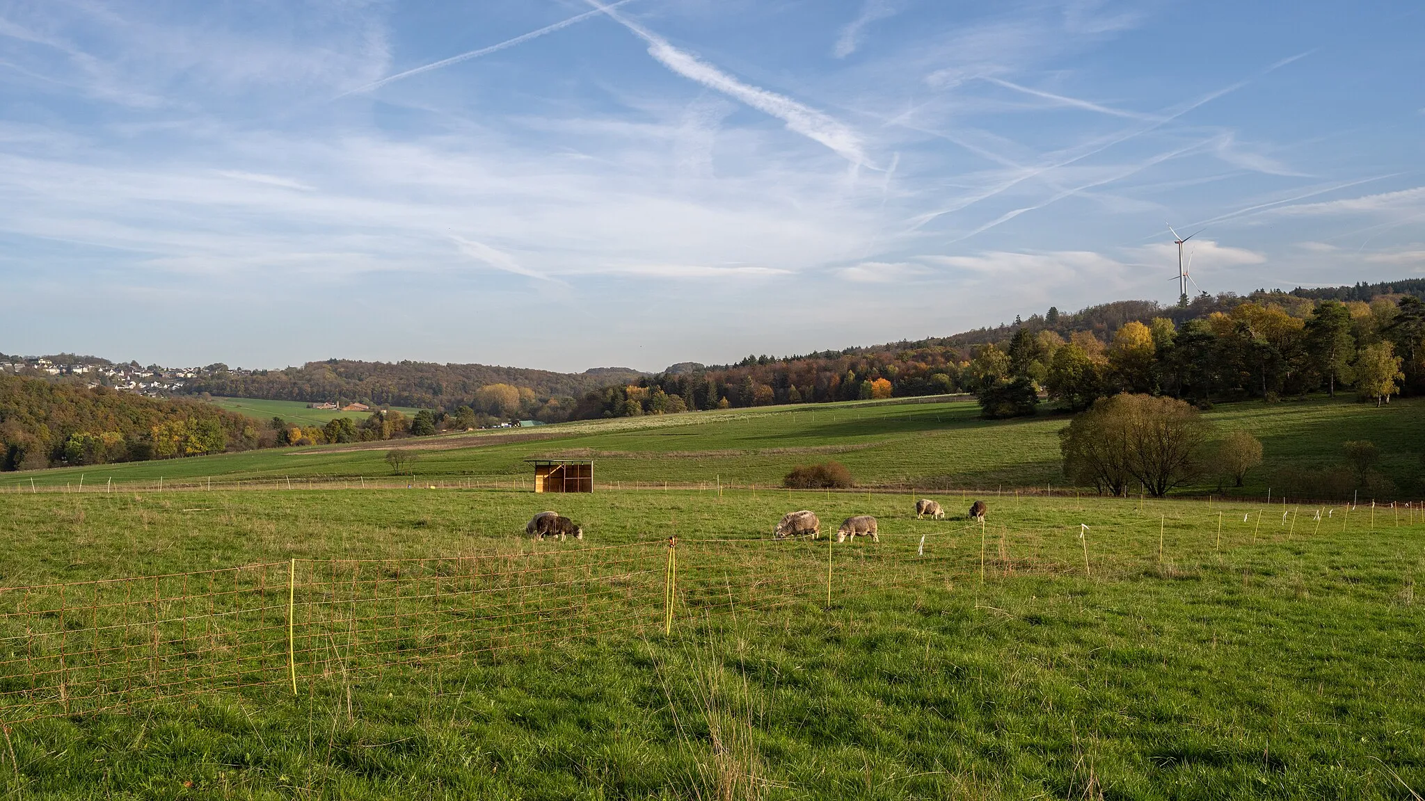 Photo showing: FFH-Naturschutzgebiet Krausebachtal bei Großaltenstädten