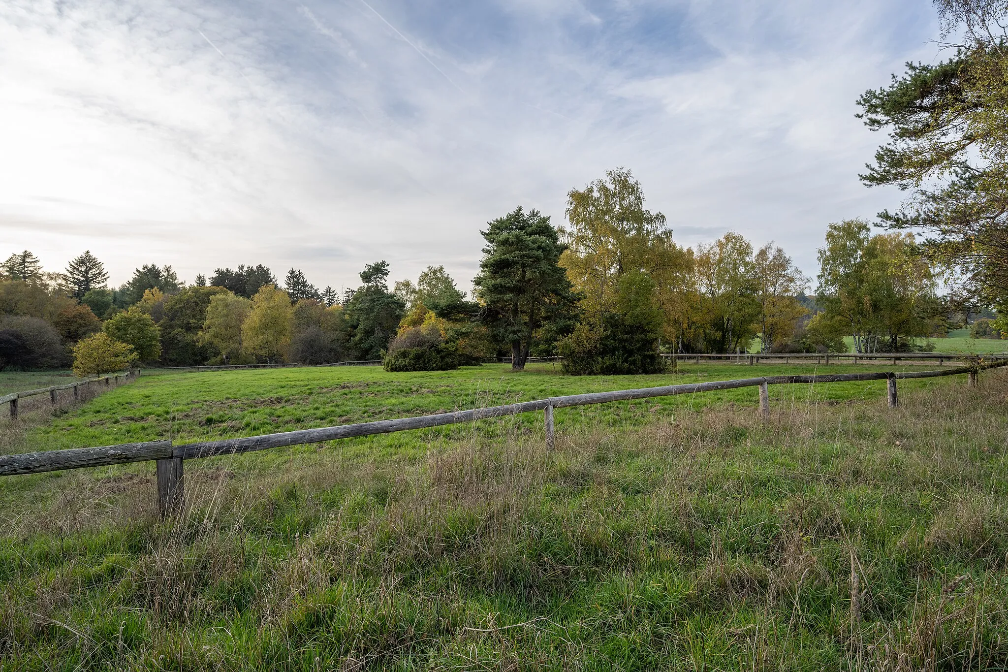 Photo showing: FFH-Naturschutzgebiet Krausebachtal bei Großaltenstädten