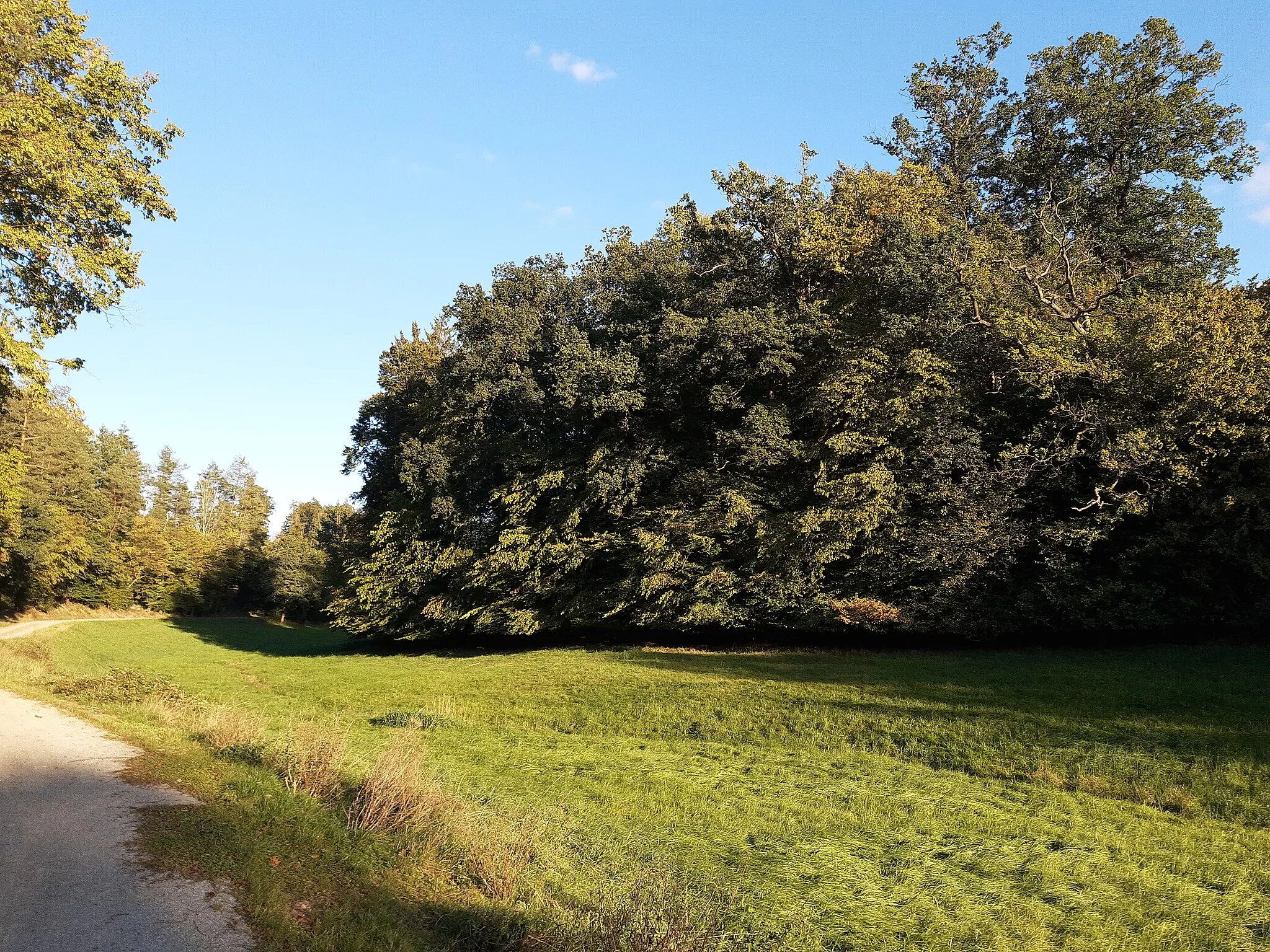 Photo showing: Falterbach valley, Niederlibbach