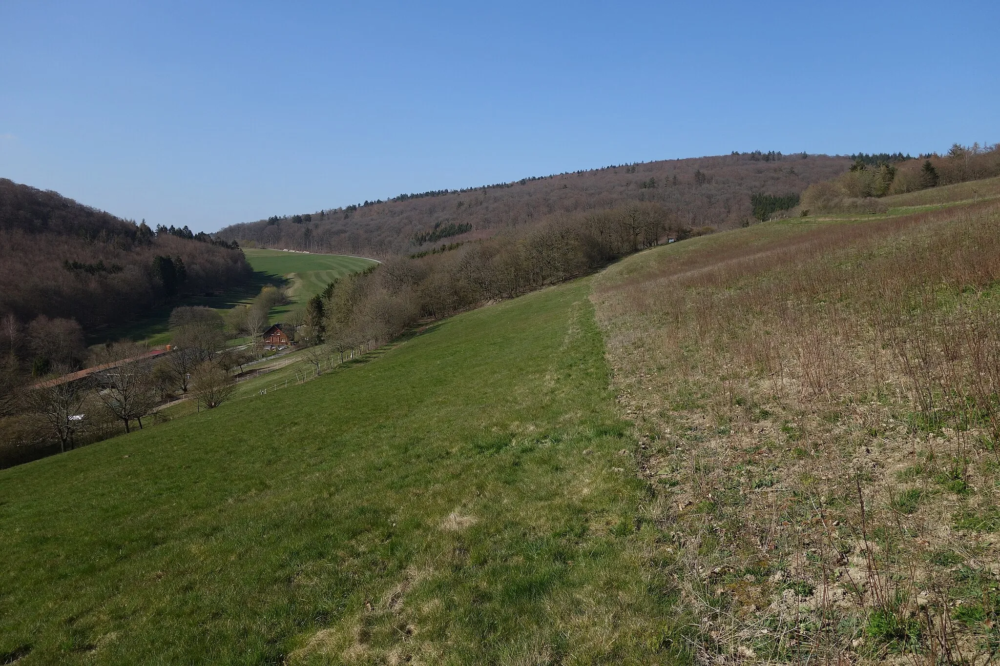 Photo showing: Berg 'Mehlbusch' bei Mauloff aus Richtung Süden, von Wüstems