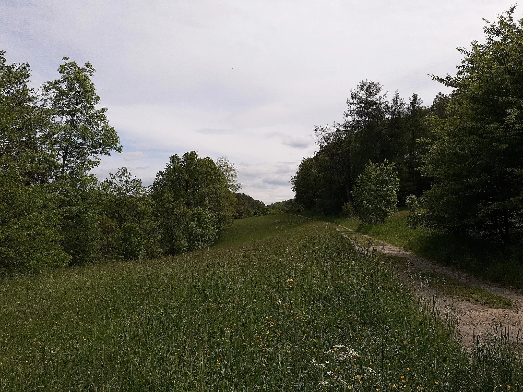 Photo showing: Path from Schwickershausen pilgrimage church