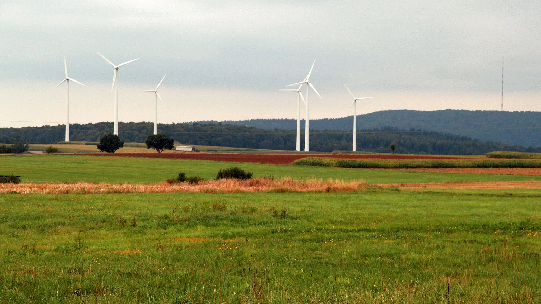 Photo showing: Windpark Lingelbach, Ortsteil von Alsfeld 5 Windkraftanlagen:
Hersteller: Pfleiderer, KW pro Anlage: 600, Durchmesser: 50m, Nabenhöhe: 75m, Baujahr: 12/2003 (Quelle: http://www.energielandkarte.hr-online.de/)