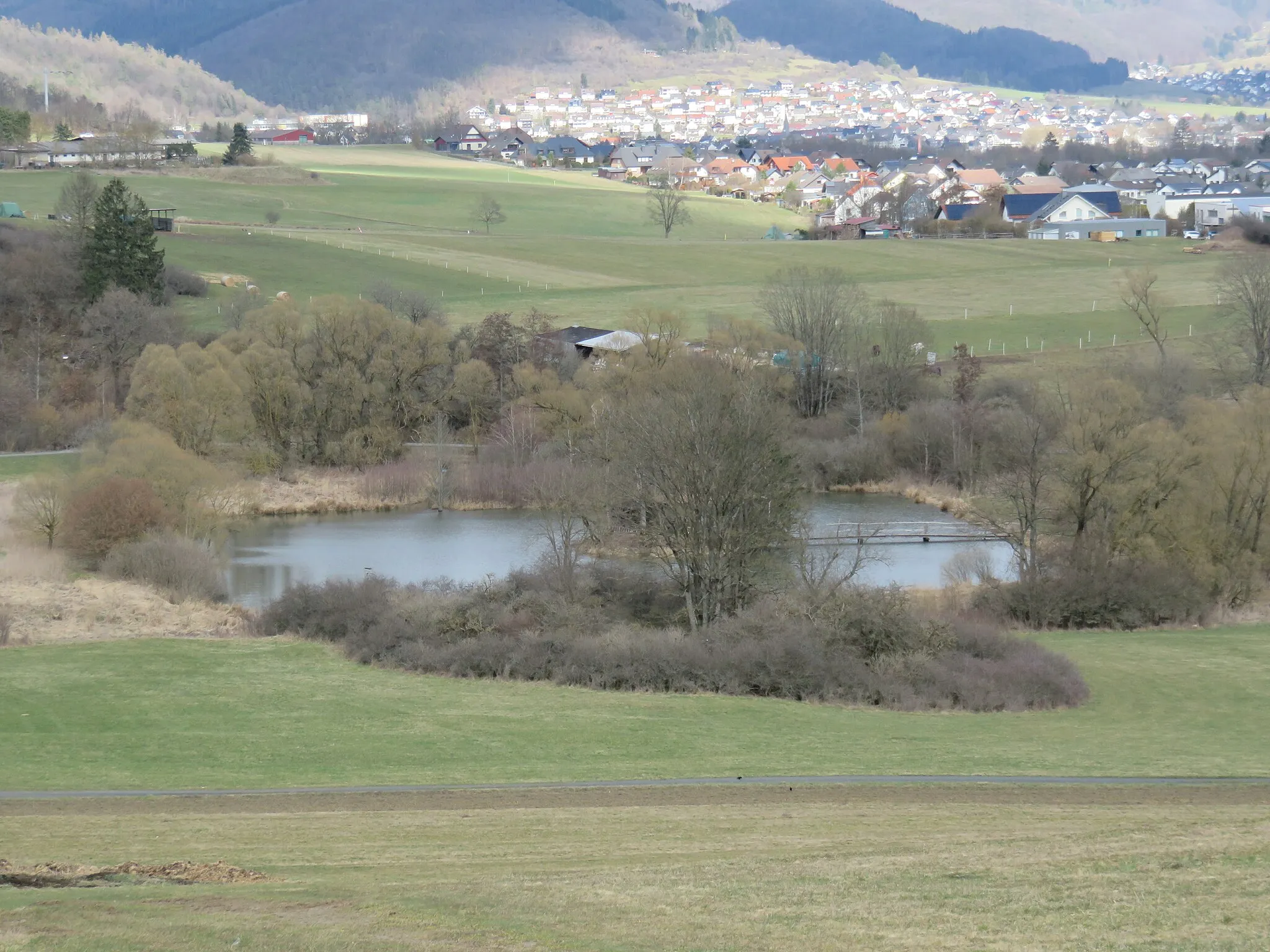 Photo showing: Der Elsbacher Weiher zwischen Breidenstein (im Hintergrund) und Wiesenbach