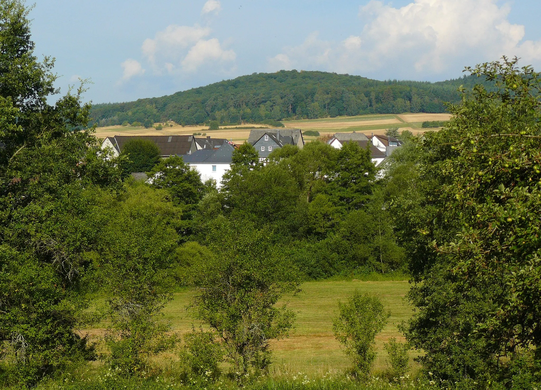 Photo showing: Koppe (Hörre) • Blick von Osten über Kölschhausen hinweg • Δ = 2 km; mrel = 1,7