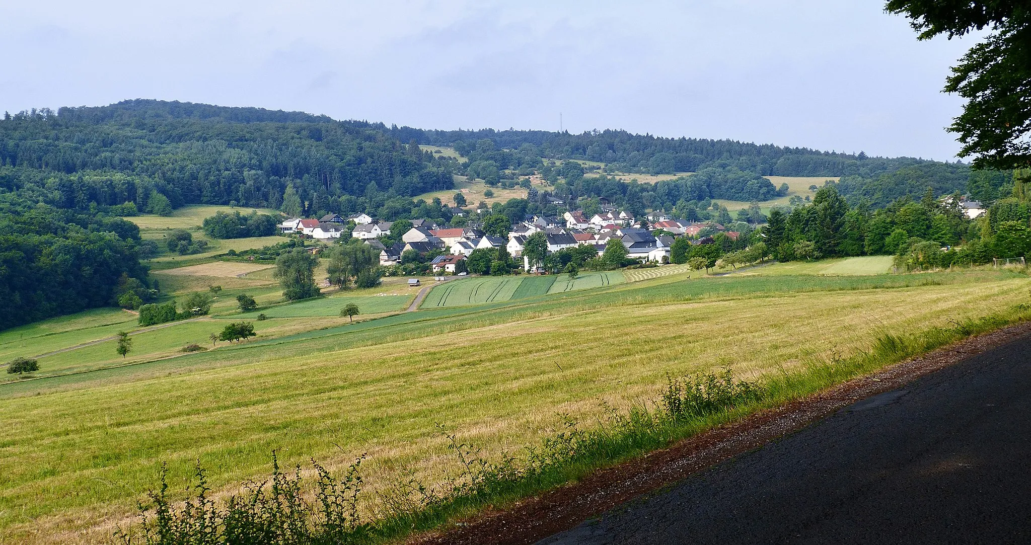 Photo showing: Hirschberg (mit der Koppe (links)) • Blick aus Nordosten vom Schildberg • Δ = 0,7 km; mrel = 1,0