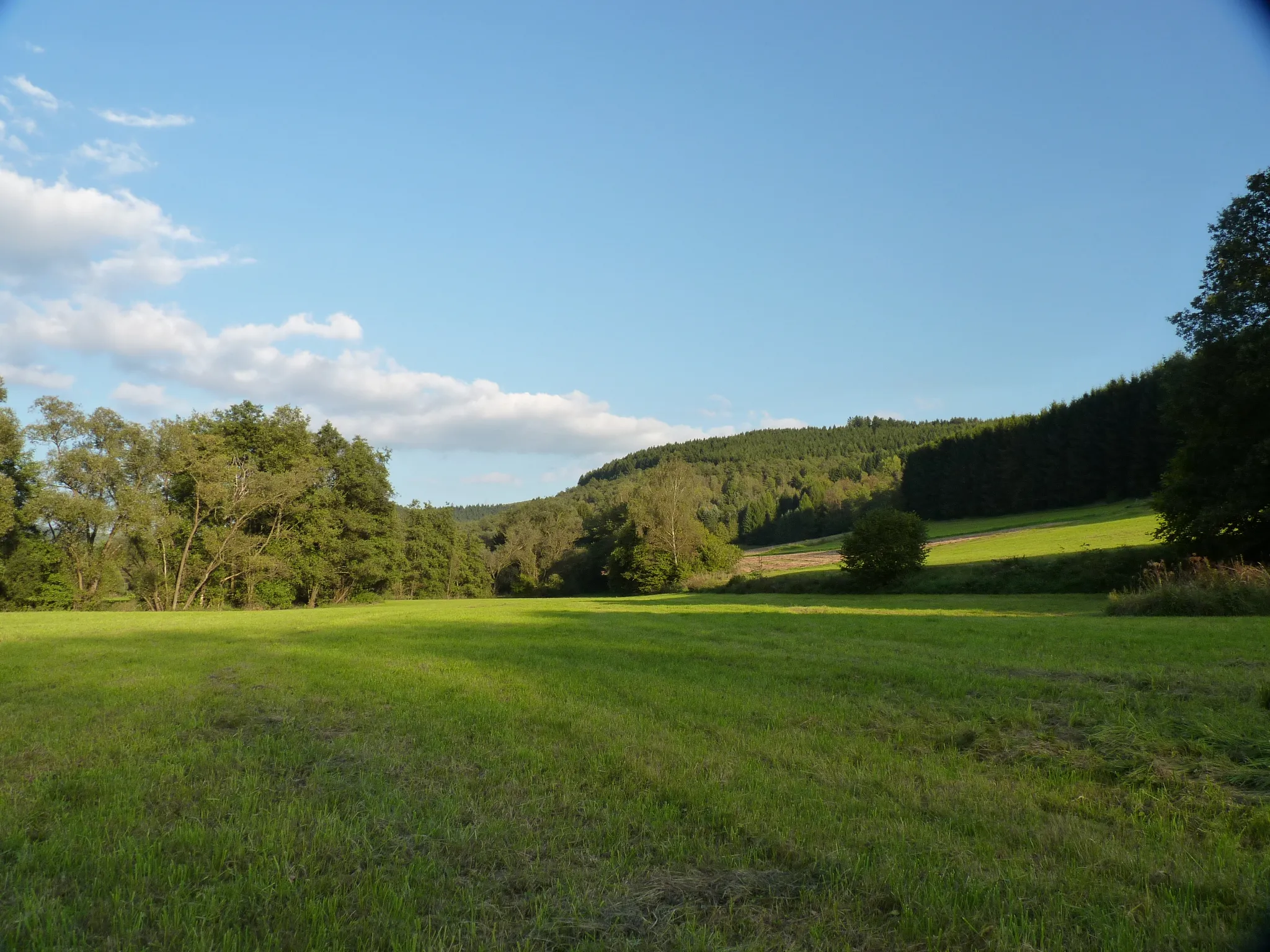 Photo showing: Siegtal bei Grissenbach im September 2014, im Hintergrund Berg Auf der Noll