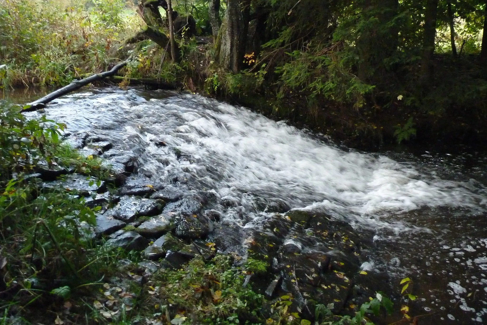 Photo showing: Die Sieg im oberen Siegtal bei Grissenbach an einem kleinen Wasserfall