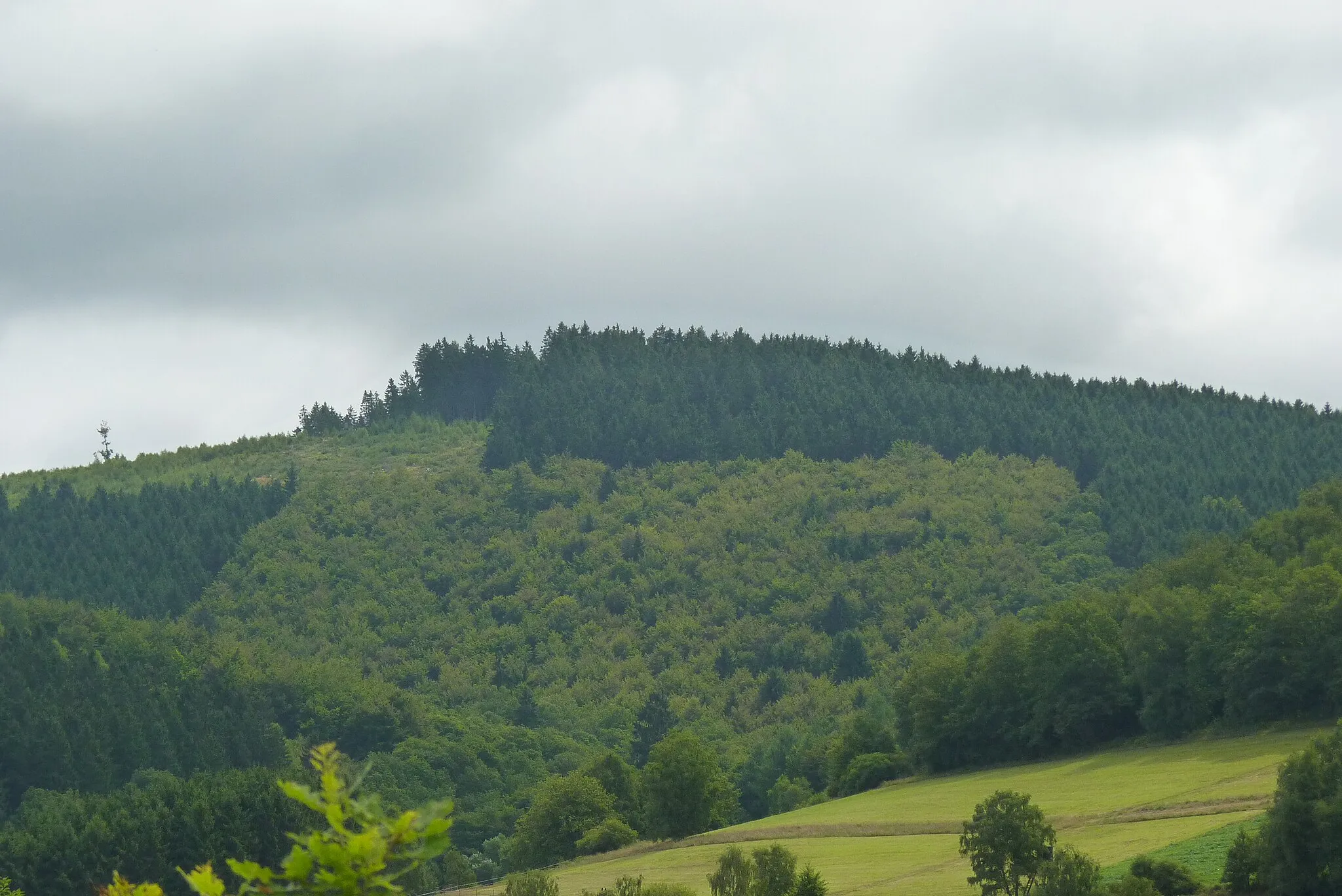 Photo showing: Der Heinenberg (höchster Berg Grissenbachs)