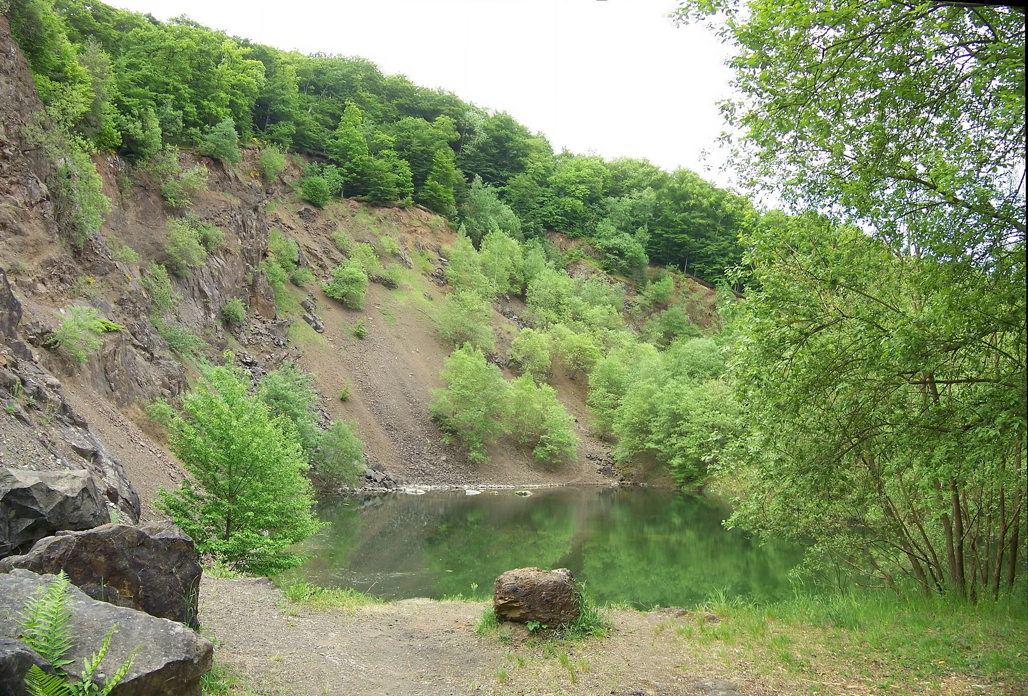 Photo showing: Der ehemalige Steinbruch am Silberg in Buchenau ist heute ein Biotop