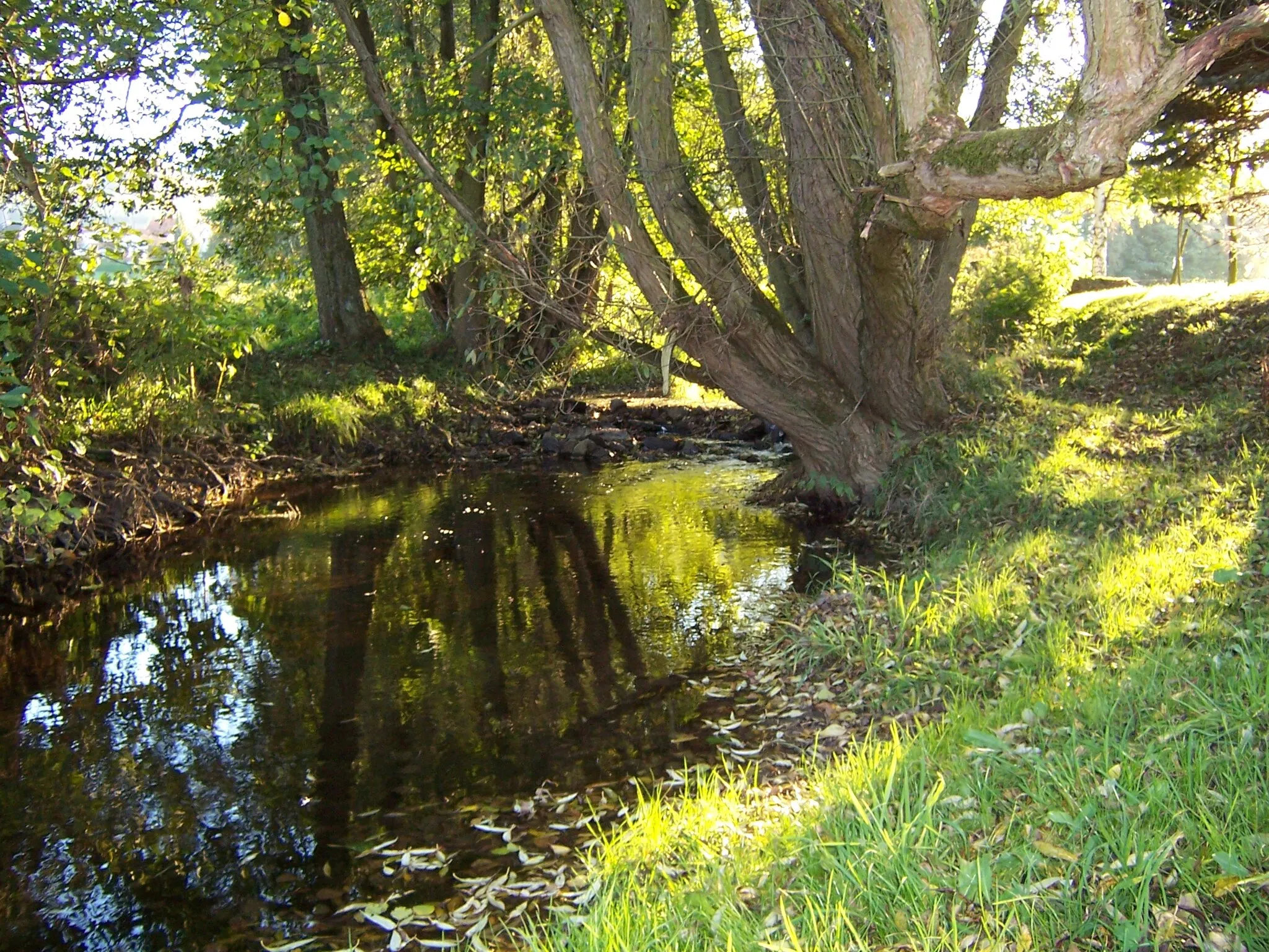 Photo showing: The tributary river to the Lahn in Friedensdorf