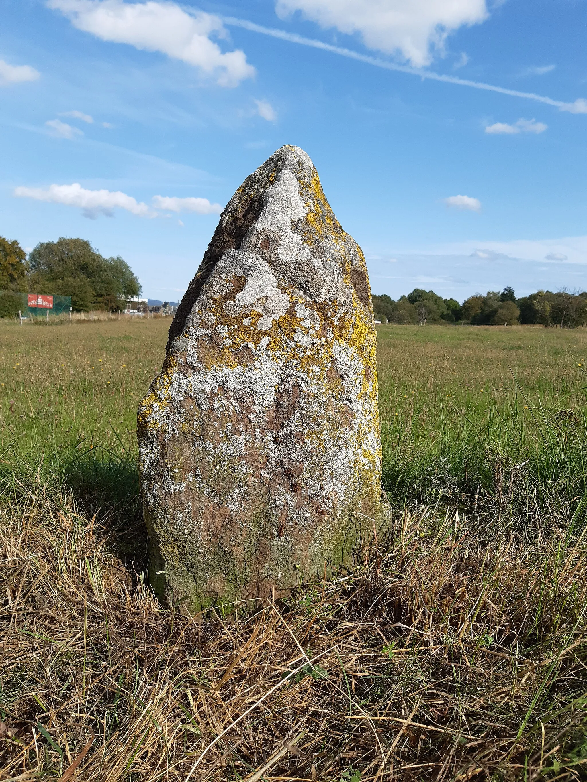 Photo showing: Möglicher Menhir (Hinkelstein, Hühnenstein, Megalith) aus Basalt im Süden von Breitscheid in der Gemeinde Driedorf, Hessen, Deutschland.