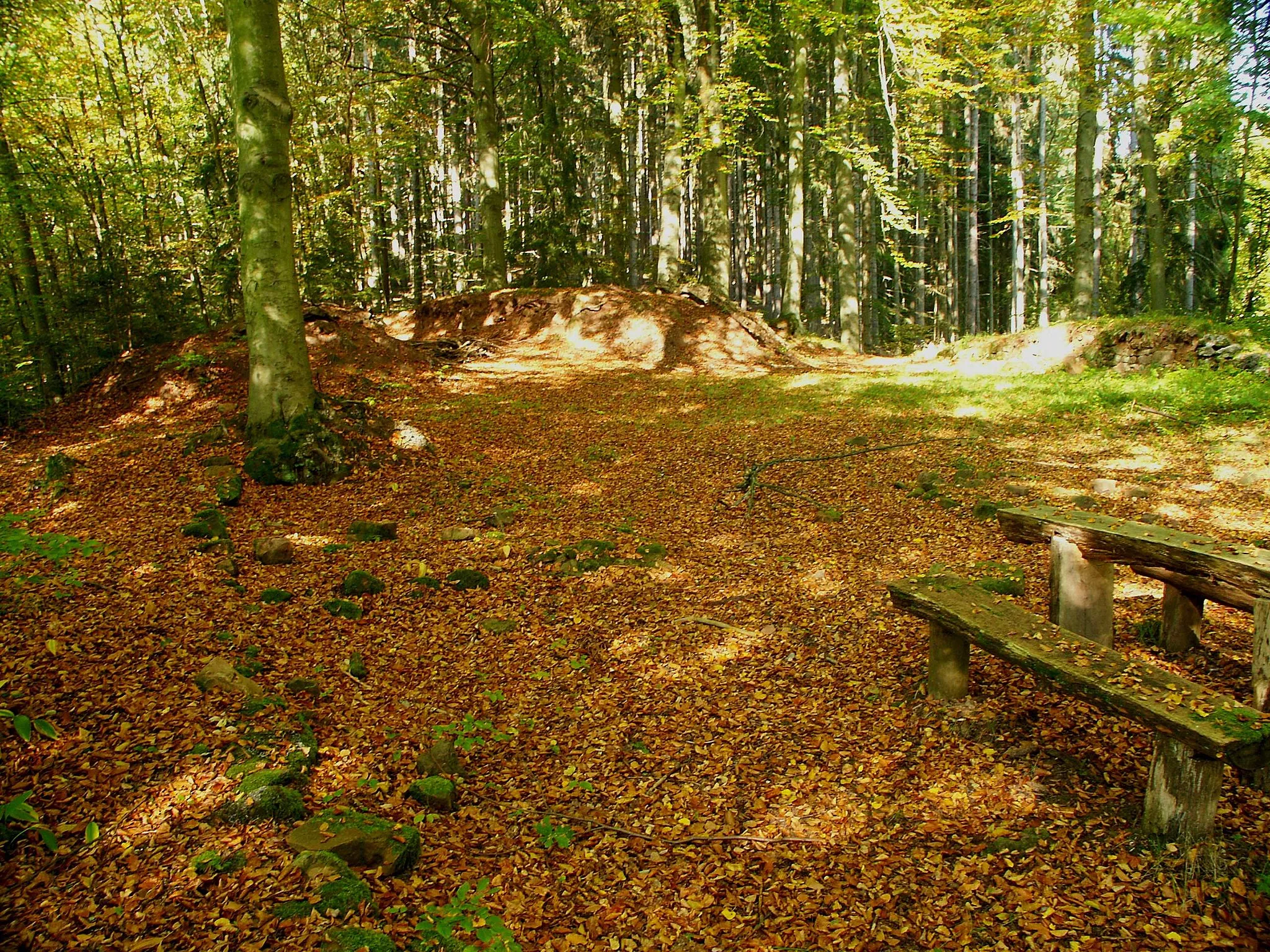 Photo showing: Mauerreste der Oberburg Milnrode