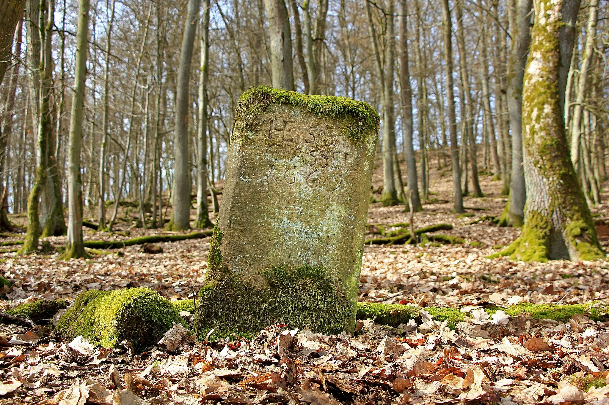 Photo showing: Grenzstein Nr. 291 von 1669 an der historischen Grenze zwischen den ehemaligen Landgrafschaften Hessen-Cassel und Hessen-Darmstadt. Lage: An der Gemarkungsgrenze zwischen Kernbach, Flur 5 und Elmshausen, Flur 3, auf dem Rückspiegel, nordwestlich von Kernbach. Ansicht der Kasseler Seite.