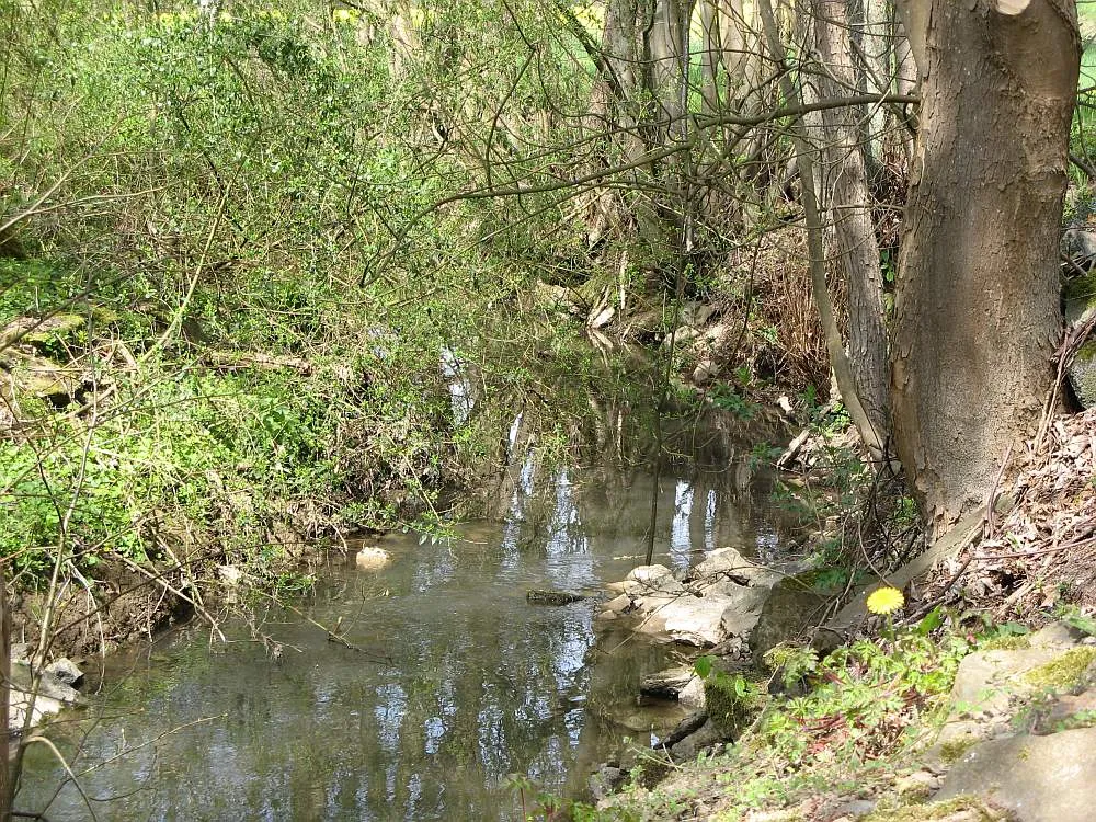 Photo showing: Der Kerkerbach zwischen Lahr und Heckholzhausen