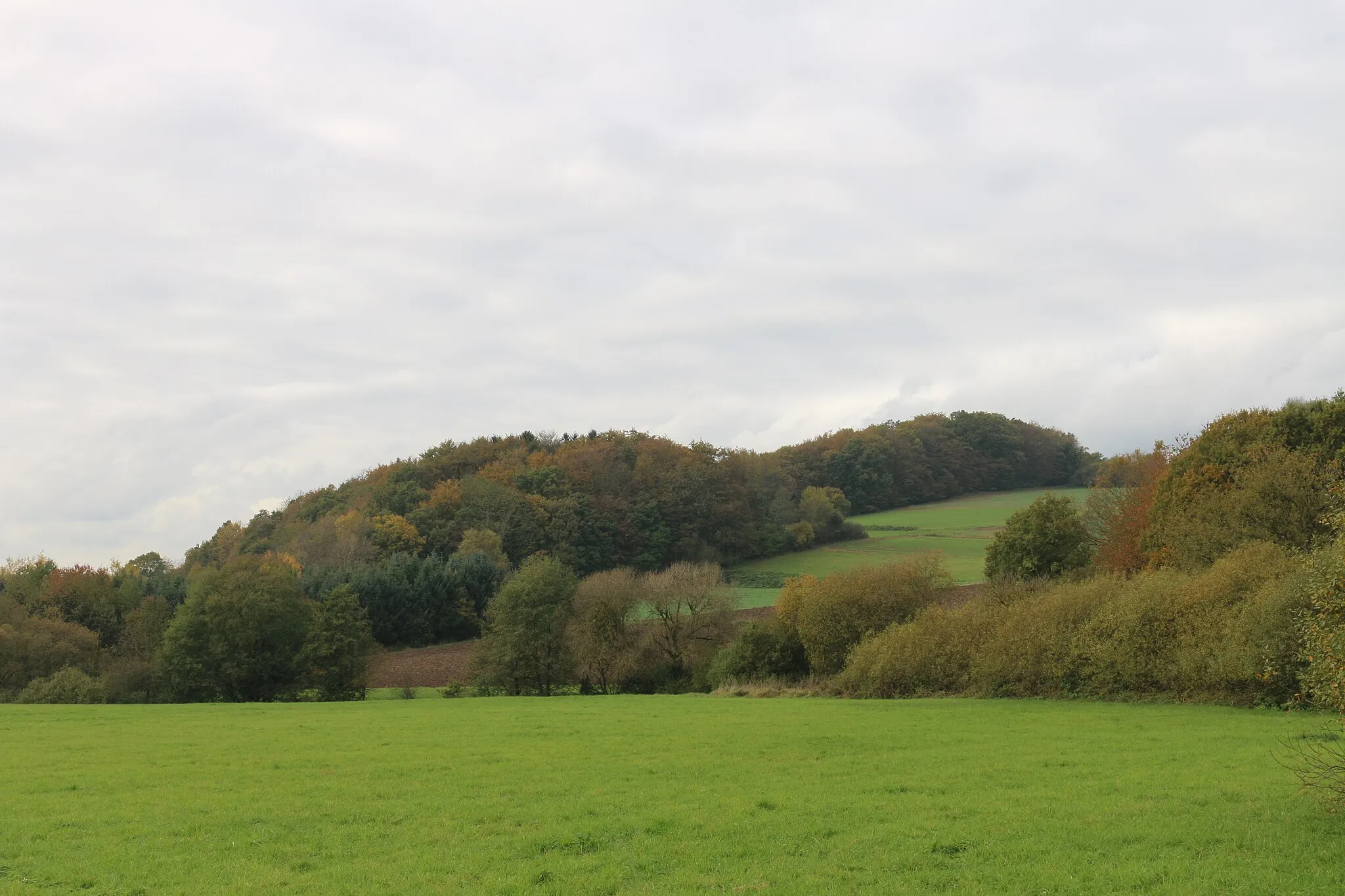 Photo showing: Fussingen, Westerwald: Der Berg Stein östlich von Fussingen