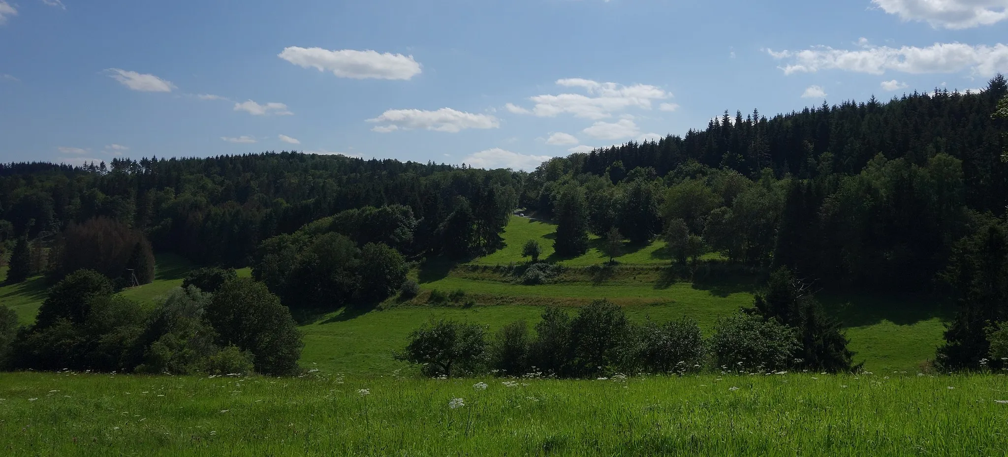 Photo showing: Taunus Mountain pass Kittelhütte between mountains Moosheck (left) and the southern top of the Windhain (right), seen from Seelenberg