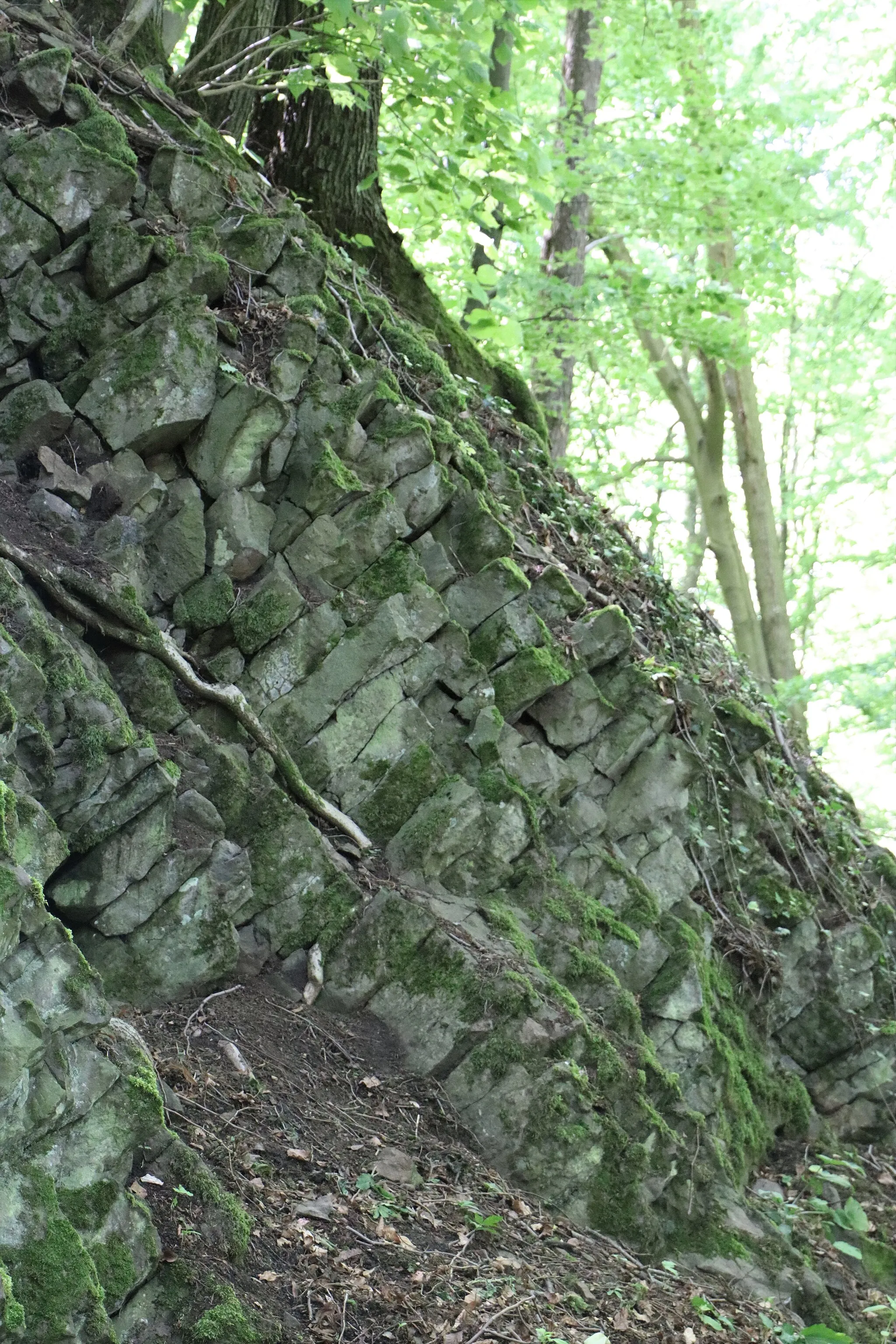 Photo showing: Basalt im Naturschutzgebiet Hangelstein