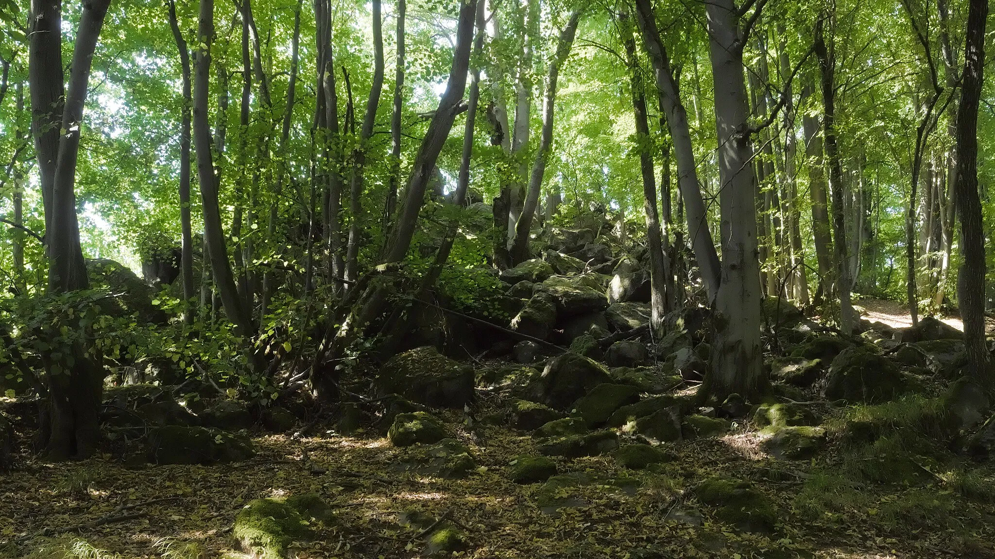 Photo showing: Basaltfelshalde am Gipfel des Heidehäuschens