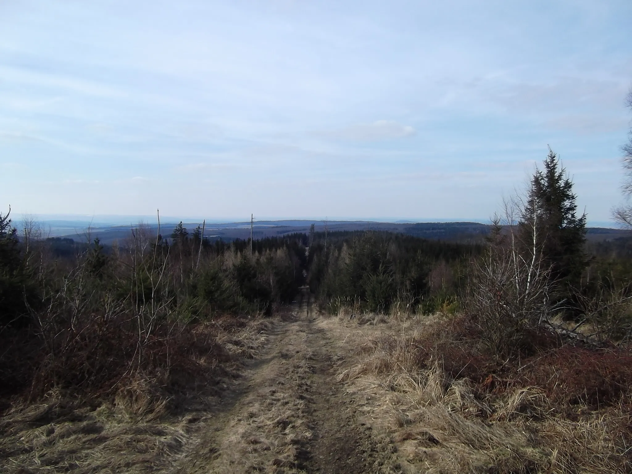 Photo showing: Aussicht vom Gickel Nähe Bodenrod