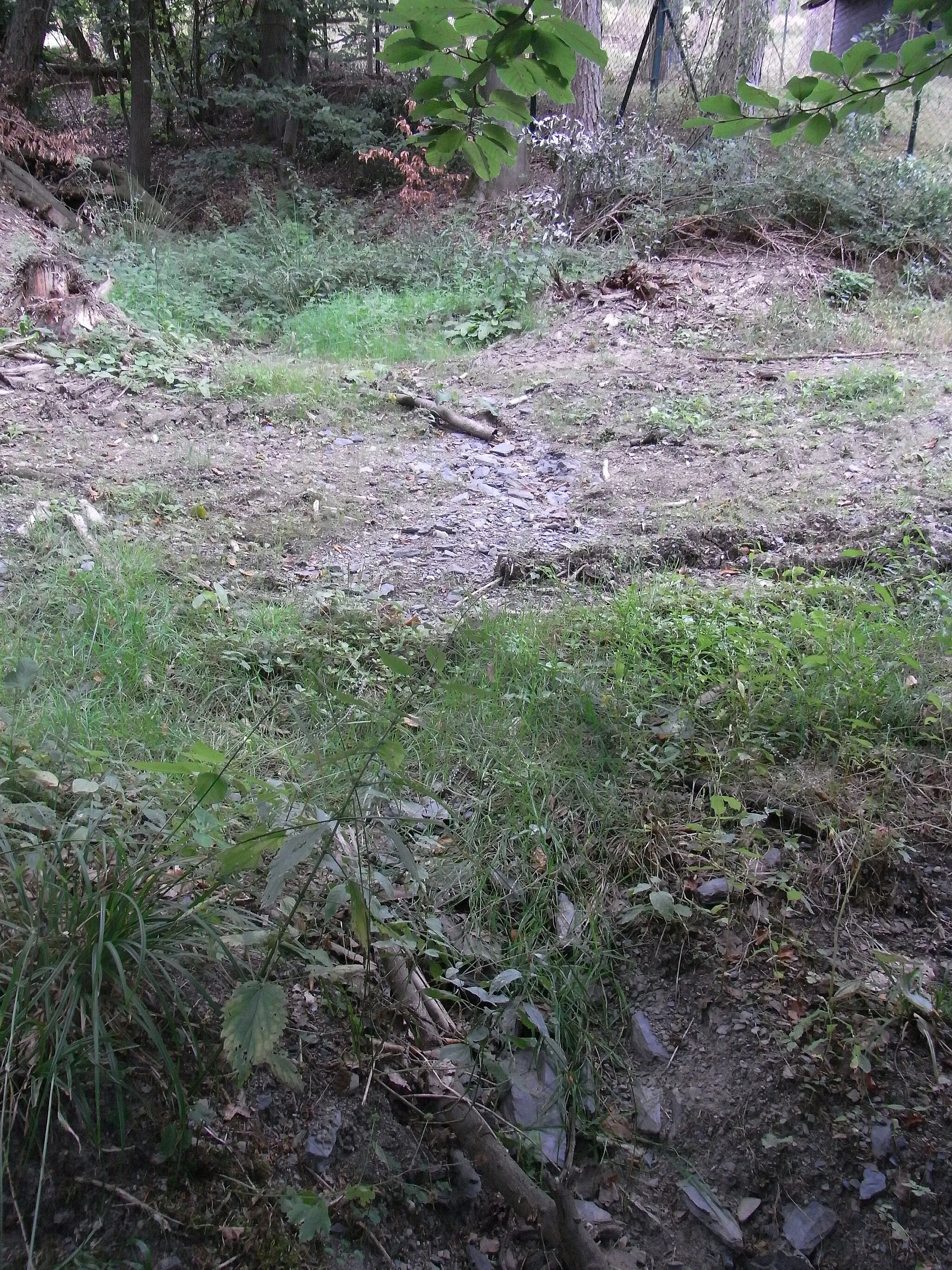 Photo showing: Der Bach quert den Waldweg, der zum Wasserwerk (rechts oben) führt; im Vordergrund der Waldrand