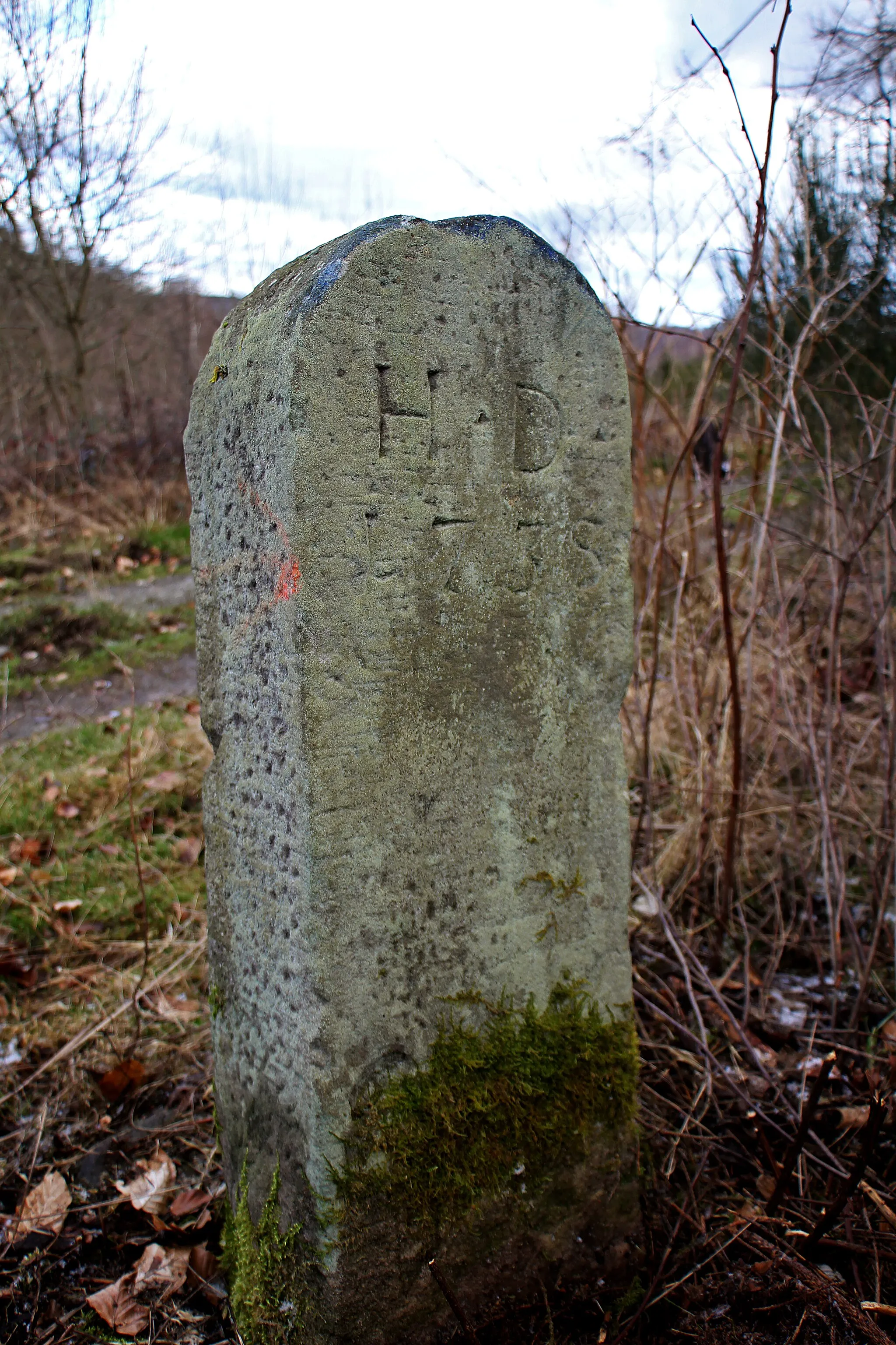 Photo showing: Grenzstein Nr. 314 von 1738 an der historischen Grenze zwischen den ehemaligen Landgrafschaften Hessen-Cassel und Hessen-Darmstadt. Lage: An der Gemarkungsgrenze zwischen Kernbach, Flur 7 und Damshausen, Flur 8, am Wegrand eines Waldweges an einem Nordhang in Sichtweite zum Rimberg. Ansicht der Darmstädter Seite.