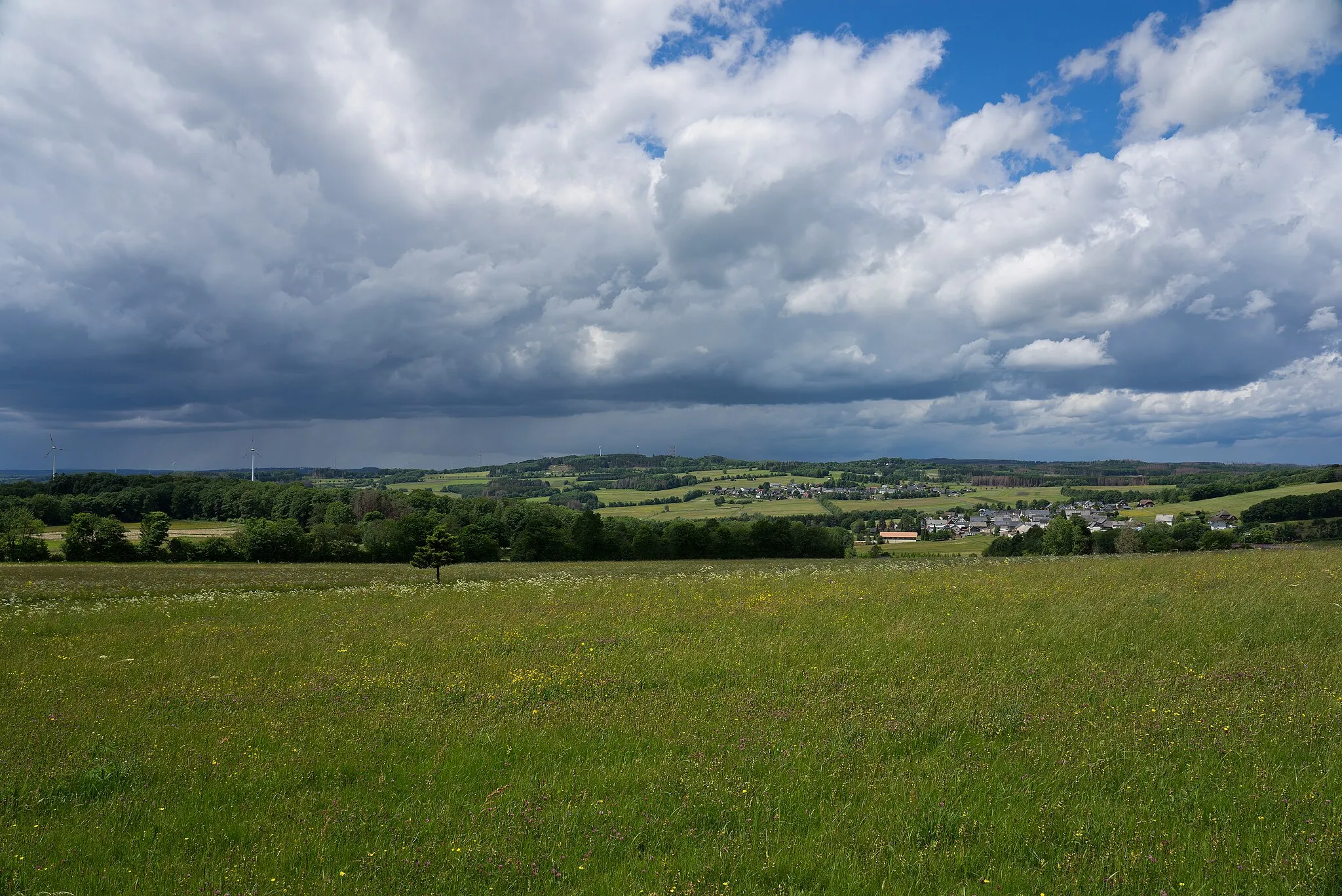 Photo showing: Salzburger Kopf in the Westerwald, seen from the east.