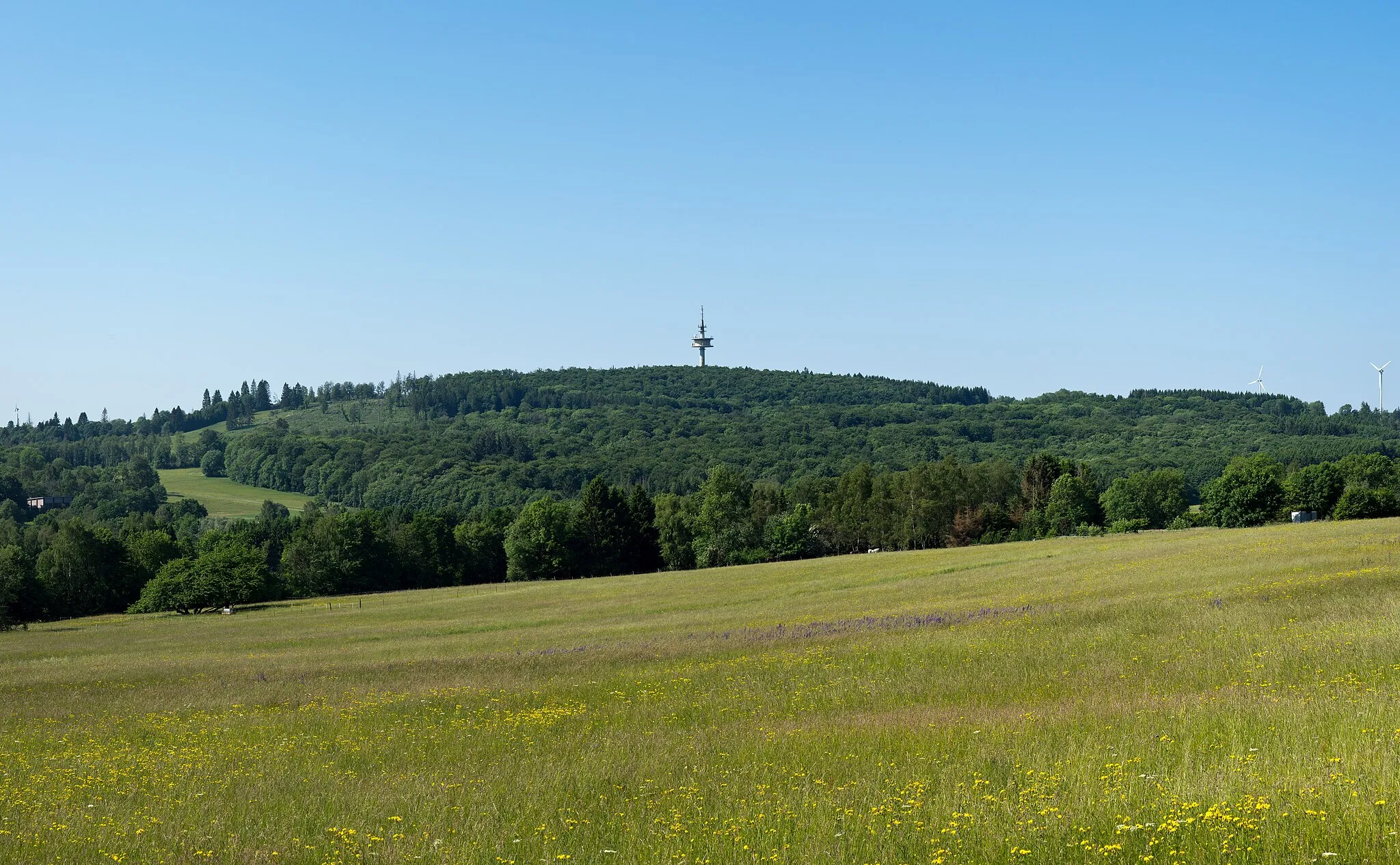 Photo showing: The Höllberg in the Westerwald, seen from the northeast