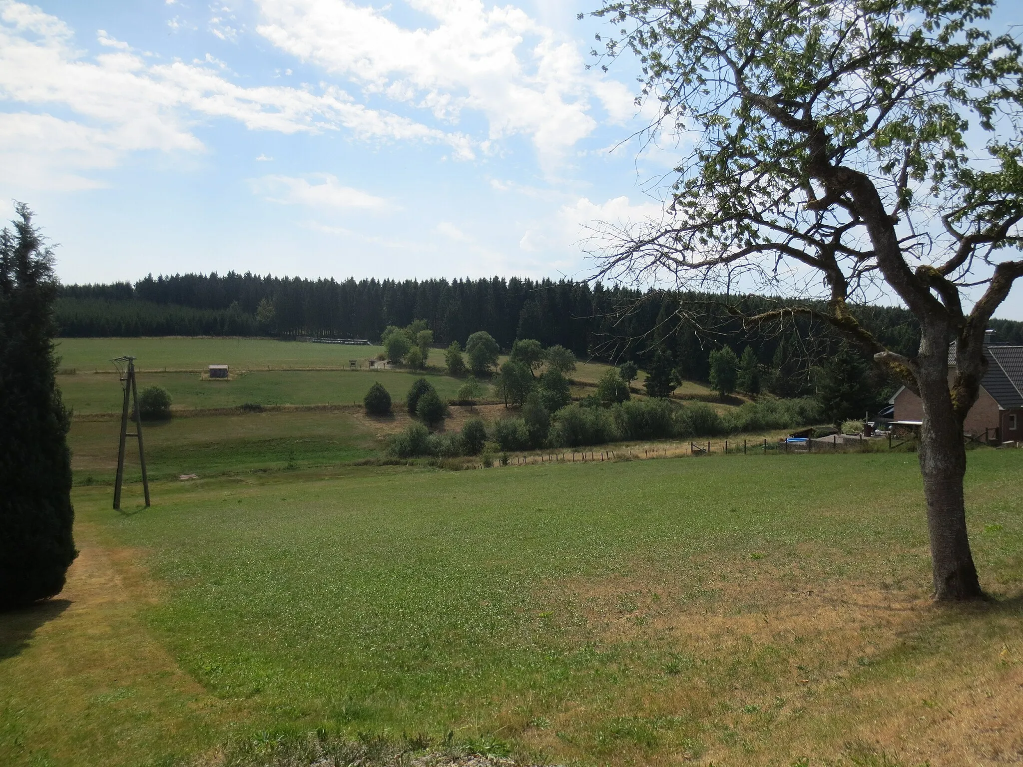 Photo showing: Talgrund in Benfe (Oberdorf), im Hintergrund der Berg "Aukopf"
