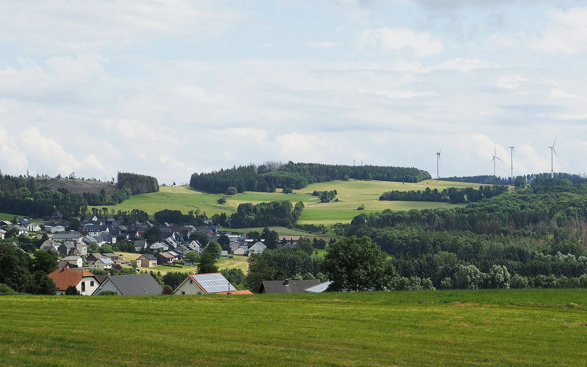 Photo showing: Ansicht der Fuchskaute von Westen, oberhalb Bretthausen. Große Waldschäden durch Trockenheit vor allem auf der Nordkuppe