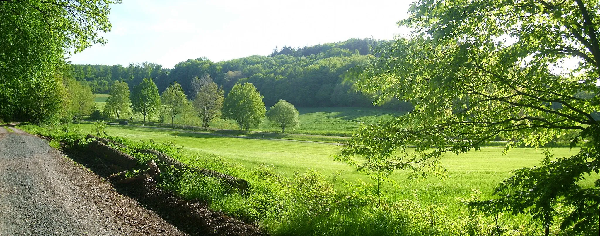 Photo showing: Blick auf den Ulrichsberg (290,5 m, Niederlahnberge) von der Gemarkungsgrenze Bortshausen/Cappel am Rand des Balderscheid, wo ein Waldweg mit zunächst 16 % Steigung abgeht. Im Vordergrund die Bortshäuser Senke mit der Landesstraße Bortshausen–Ebsdorf und dem parallelen Radweg auf ehemaliger Bahntrasse